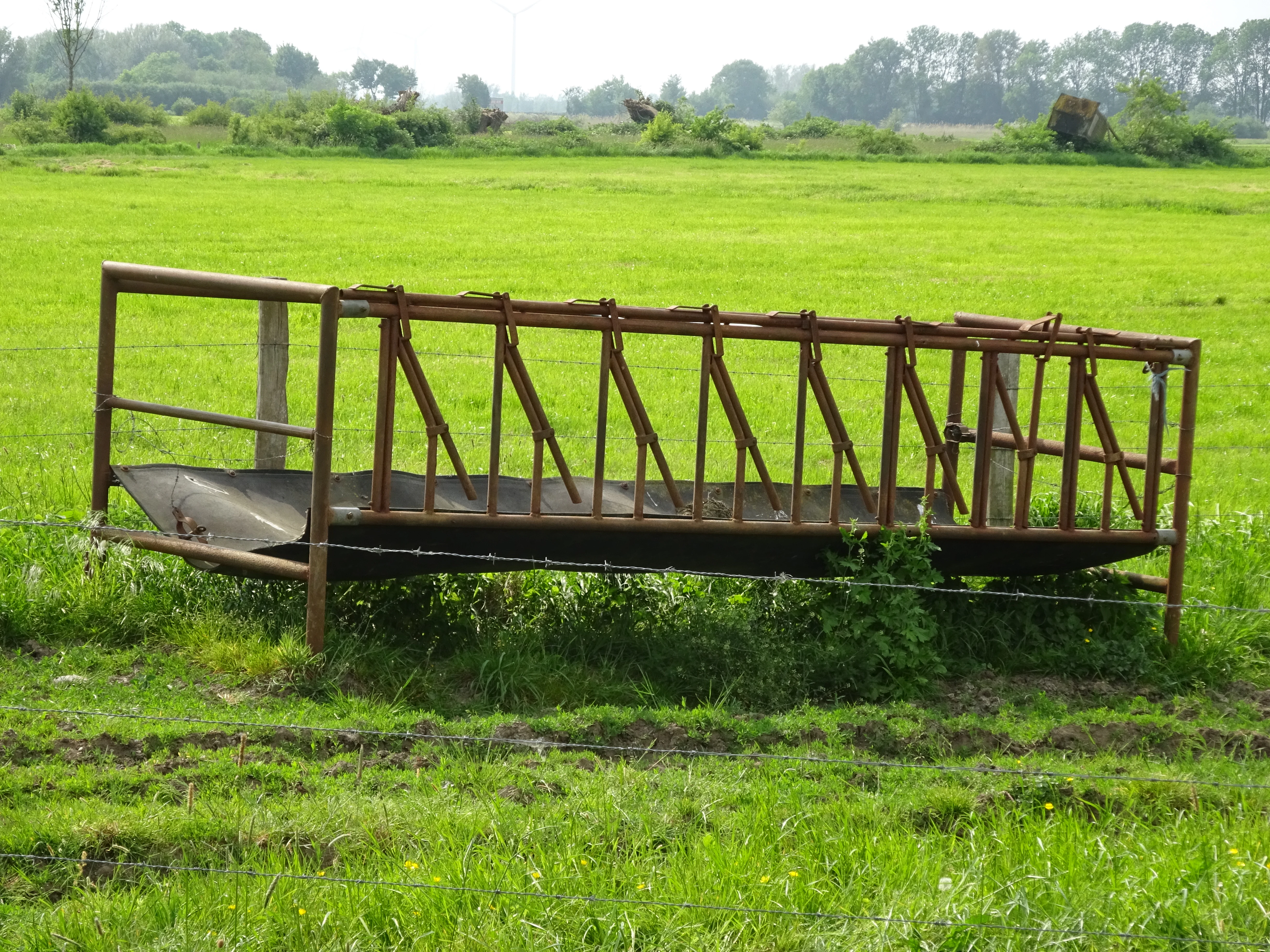 A rusty metal cattle feeding trough standing in a bright green grassy field at Hetter-Millinger Bruch.