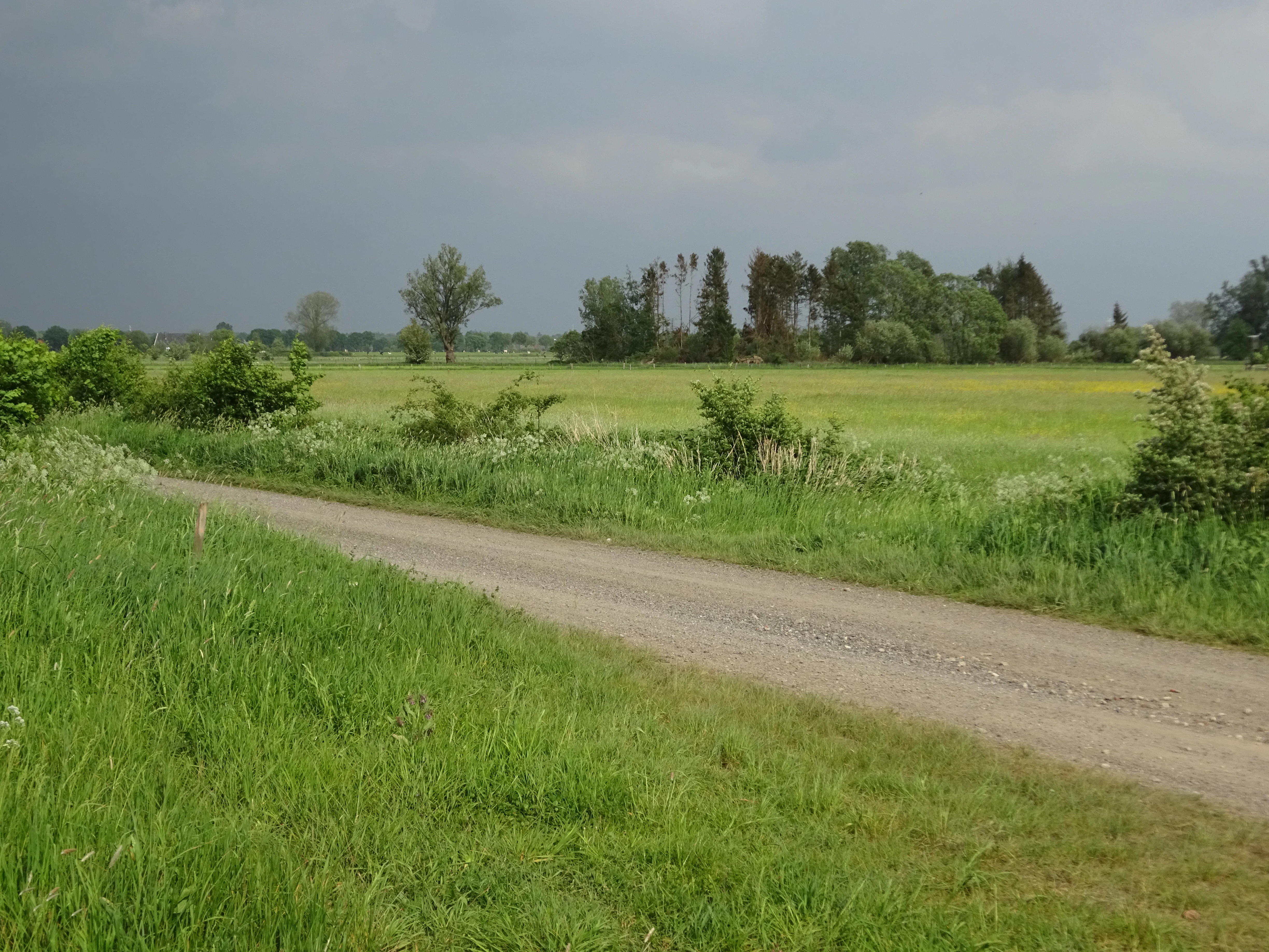 A dirt and gravel path winds through a green meadow with trees in the background under a cloudy sky.