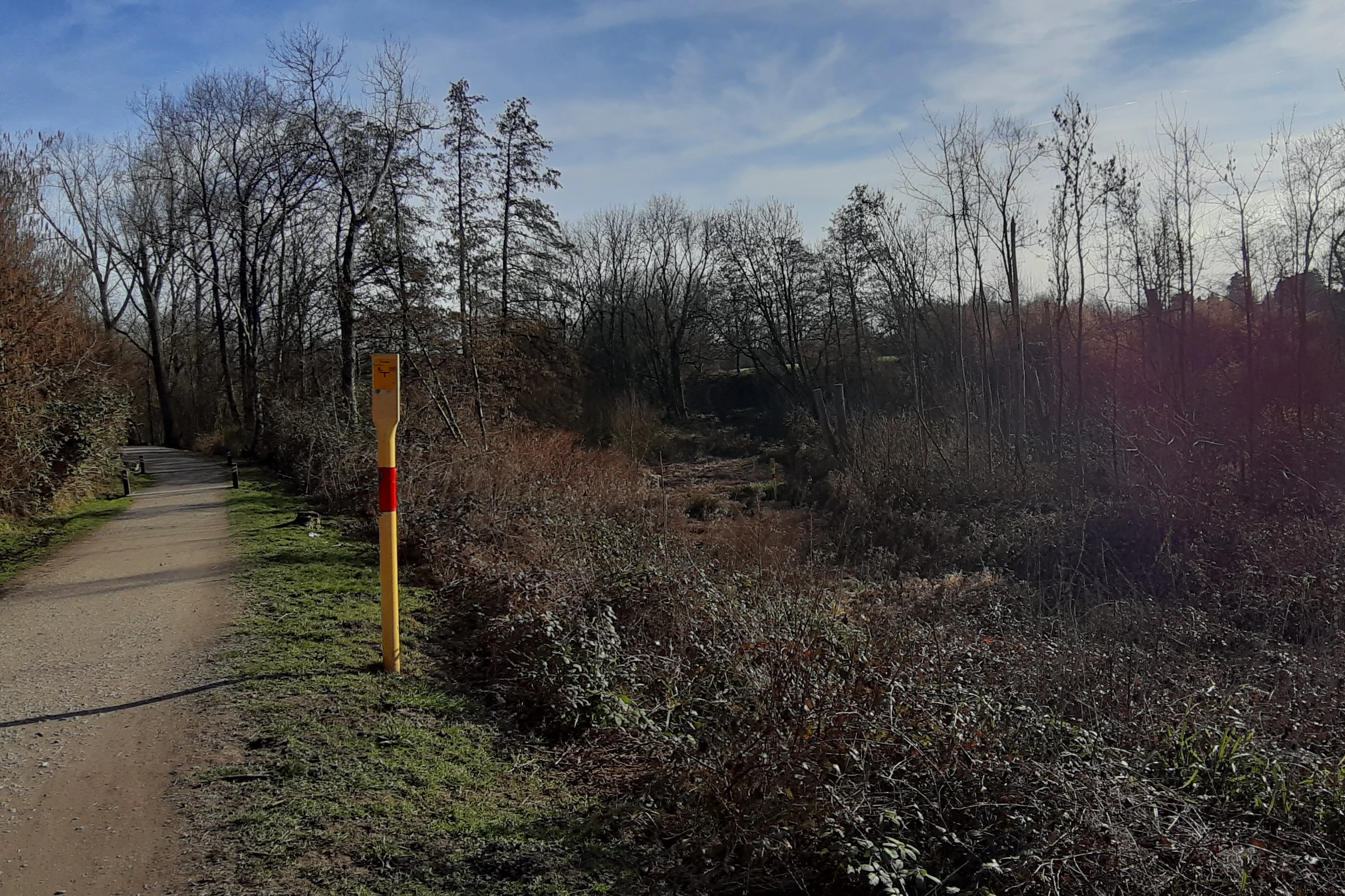 A dirt hiking trail stretches into the distance, bordered by a grassy verge and a single yellow-and-red trail marker pole, leading toward a background of sparse, leafless trees under a clear blue sky.