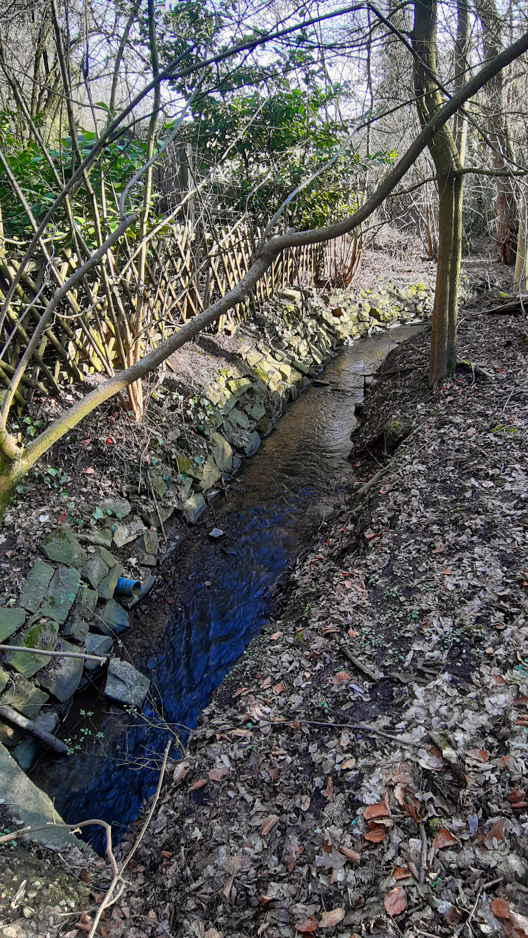 A small narrow creek flows through a forested area, bordered by a stone-lined bank and a wooden lattice fence on one side and leaf-covered ground on the other.