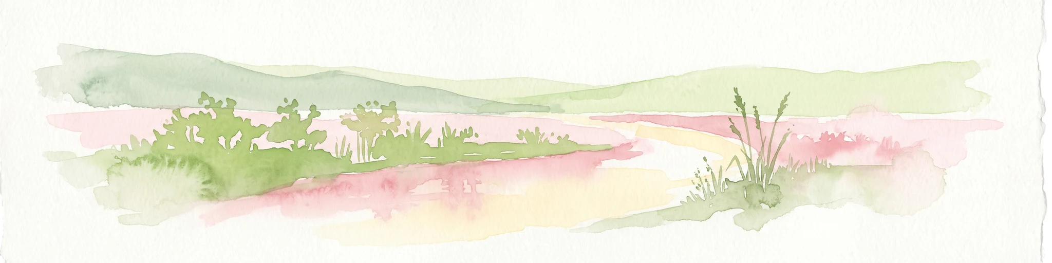 A soft watercolor painting of a valley scene featuring green hills in the distance, marshy vegetation, and a winding stream, rendered in light pink and green tones on a white background.