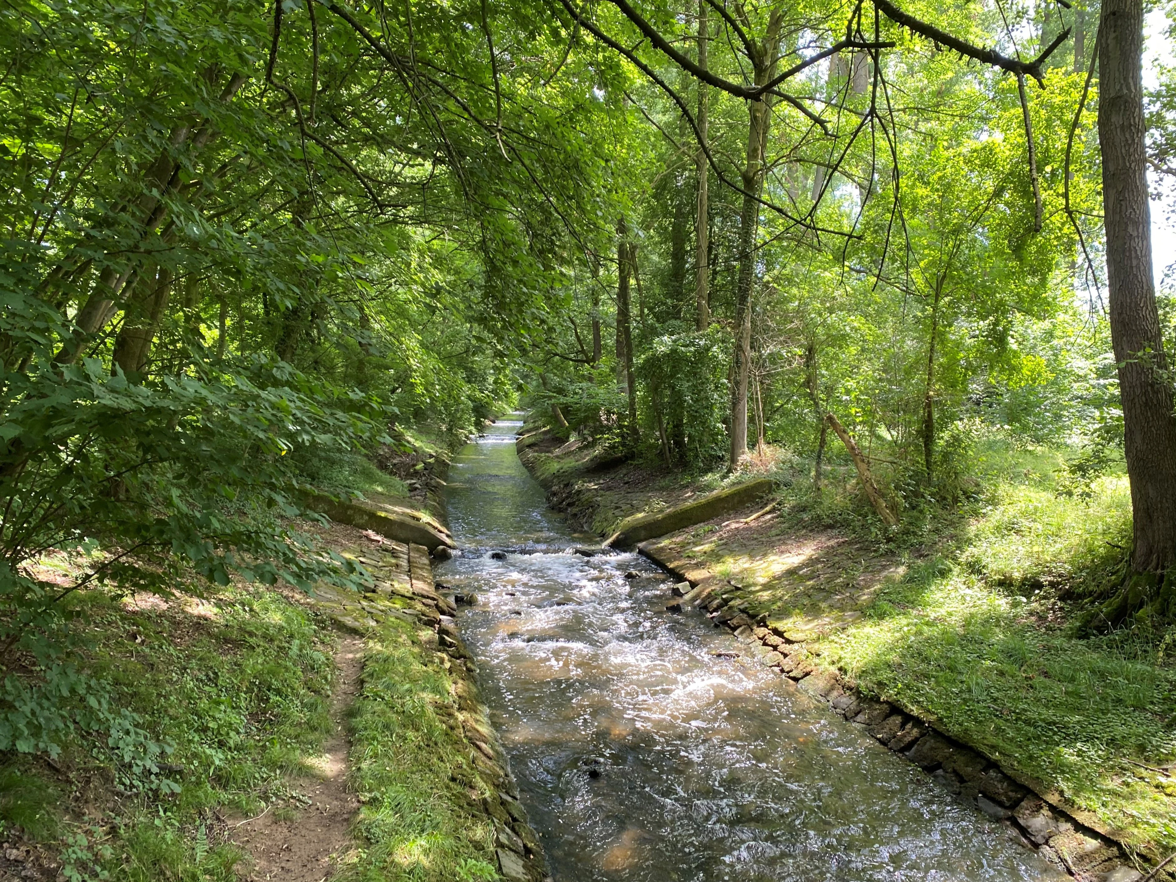 A narrow stream with stone-lined banks flows through a lush green forest with trees overhanging the water.