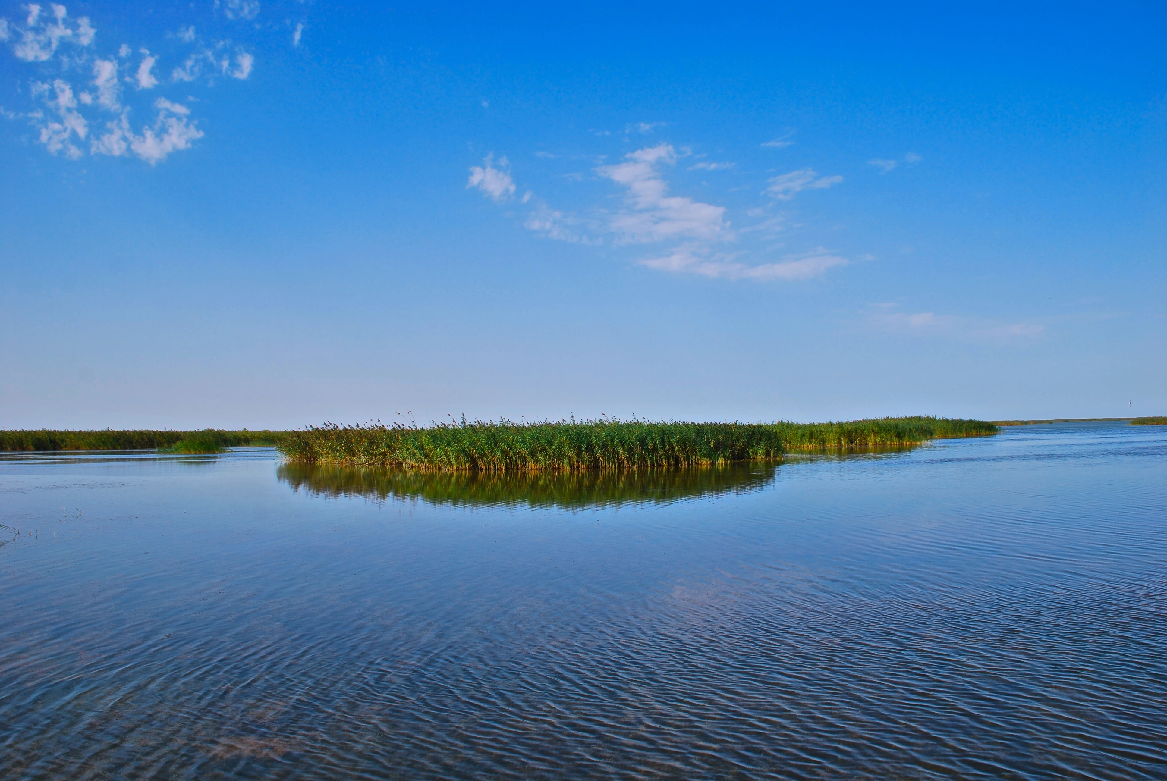 Calm water with a small lush green island, clear blue sky, and scattered clouds