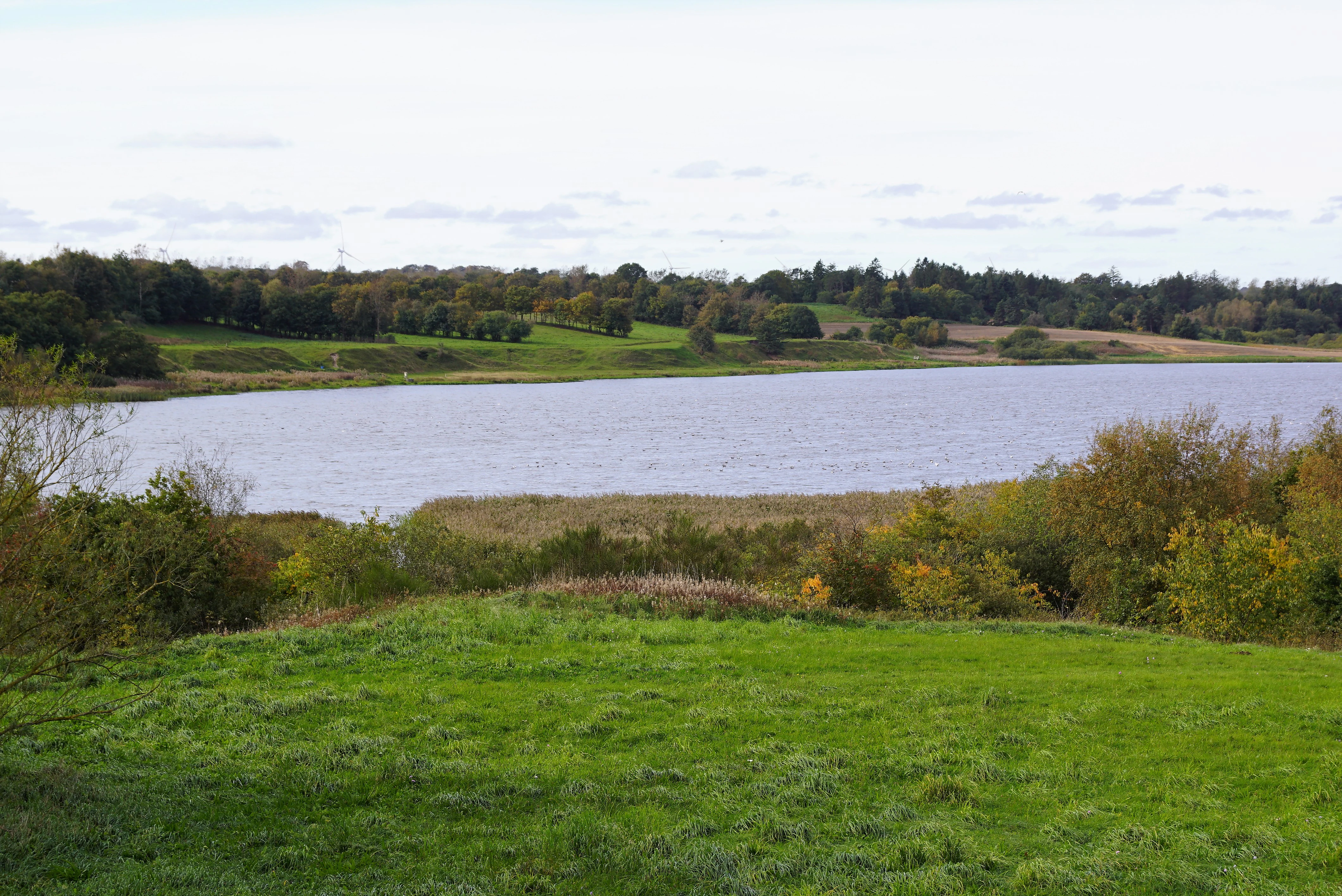 A wide view overlooking Stubbergård Sø, a calm lake surrounded by grassy fields, wetlands, and distant treelines under an overcast sky.