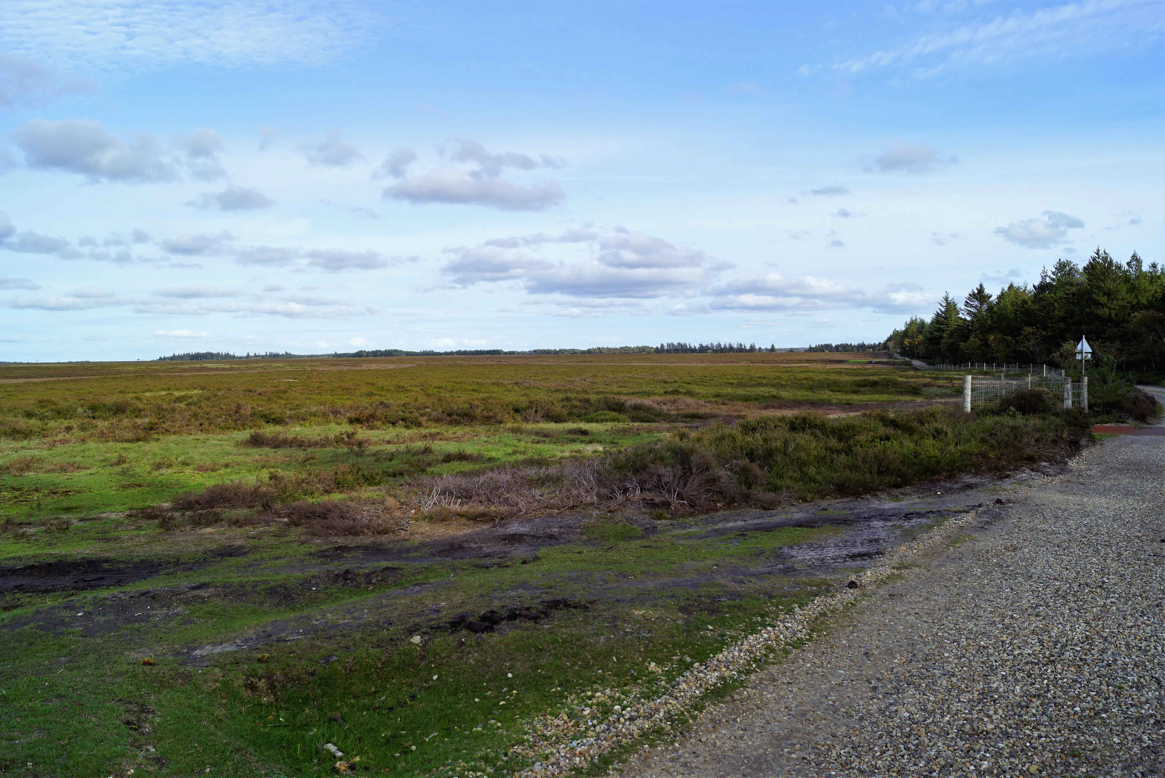 A wide, open expanse of heathland in Denmark with low-lying vegetation under a blue sky, viewed from a gravel path.