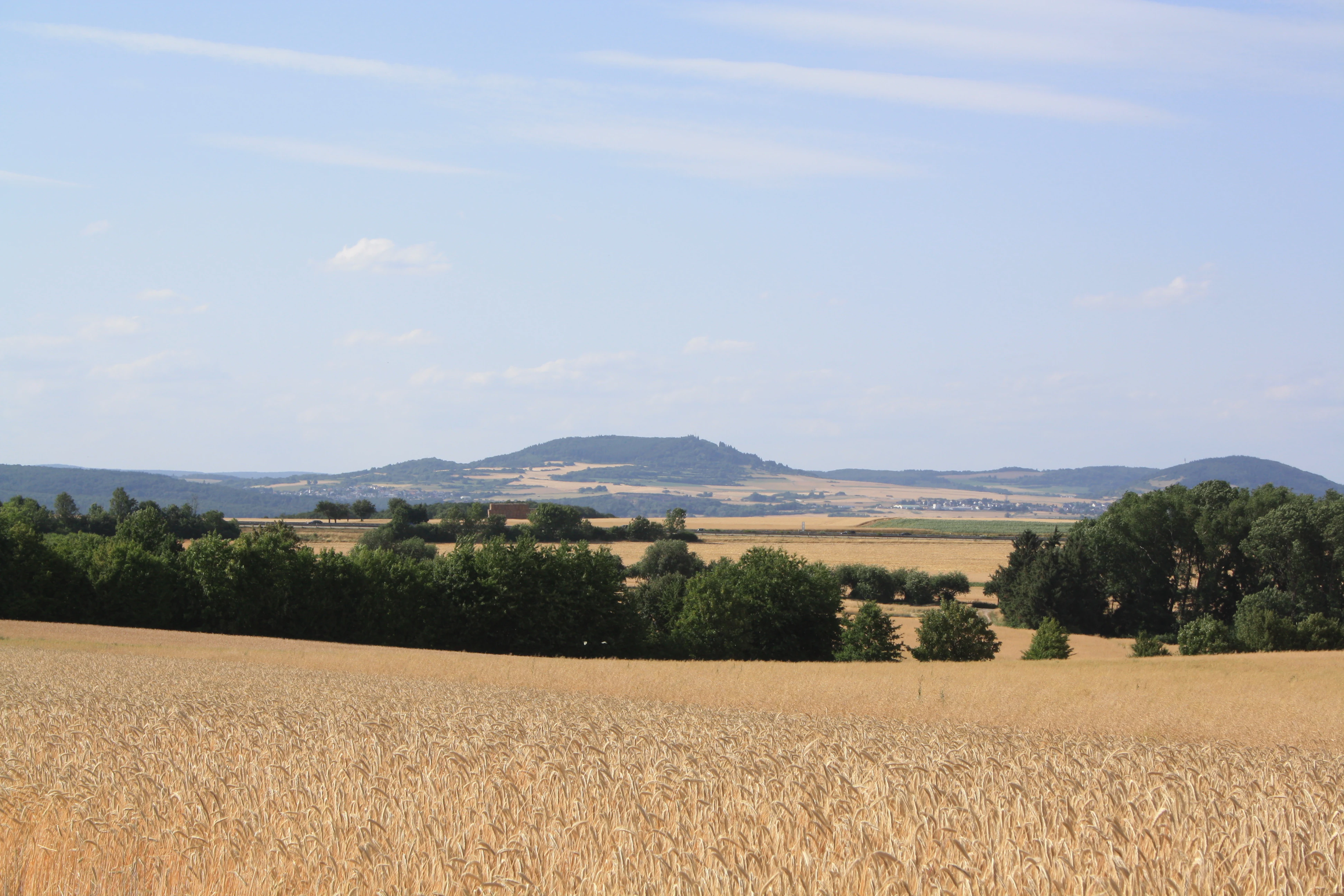 A wide, golden wheat field in the foreground, with lines of green trees in the midground and a rounded volcanic mountain, Hochsimmer, in the background under a pale blue sky.