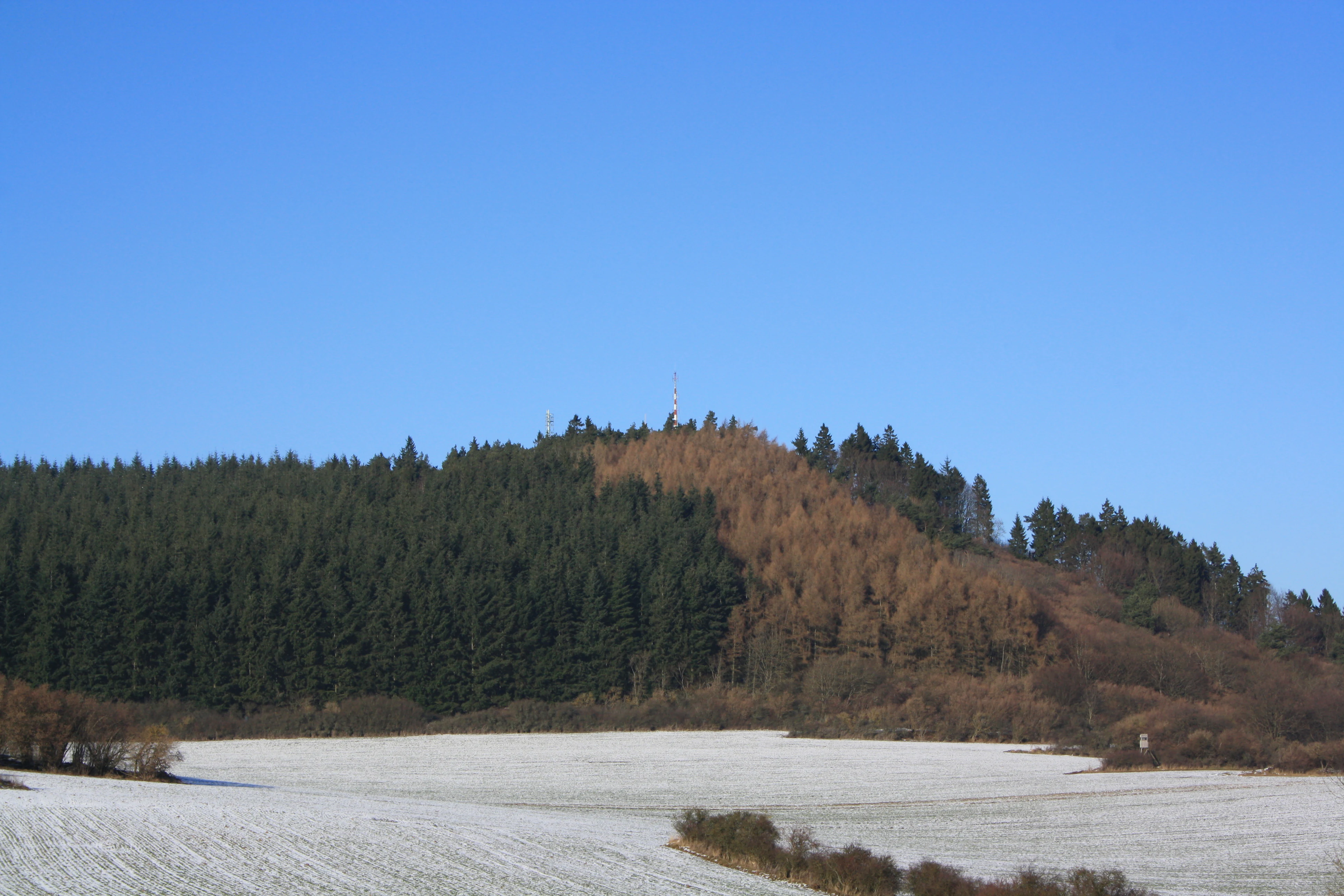 A wide view of the Hochsimmer mountain peak covered in forest, rising above a snow-dusted agricultural field under a clear blue sky.