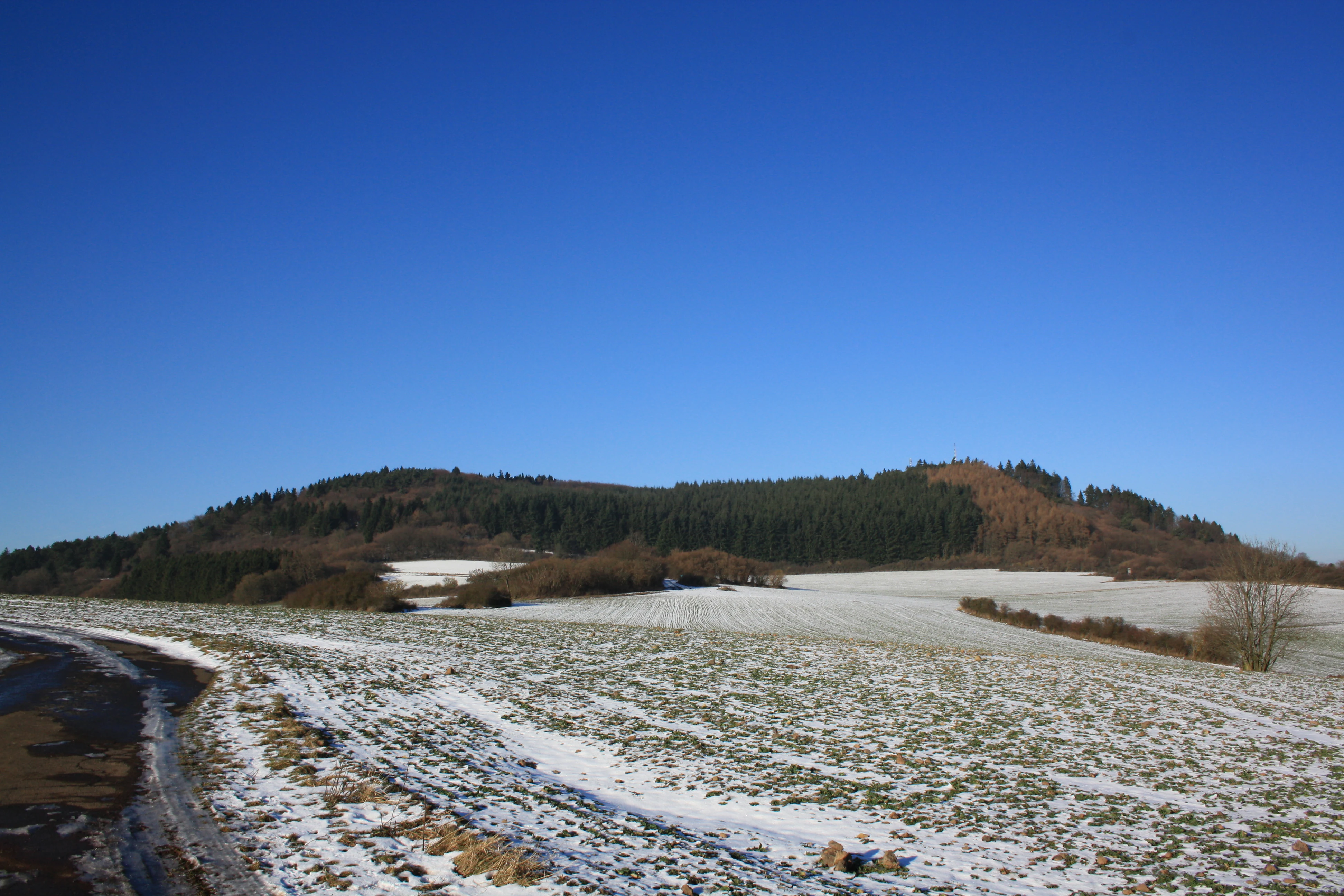 A snowy, rolling landscape with a forested hill under a clear blue sky in winter.