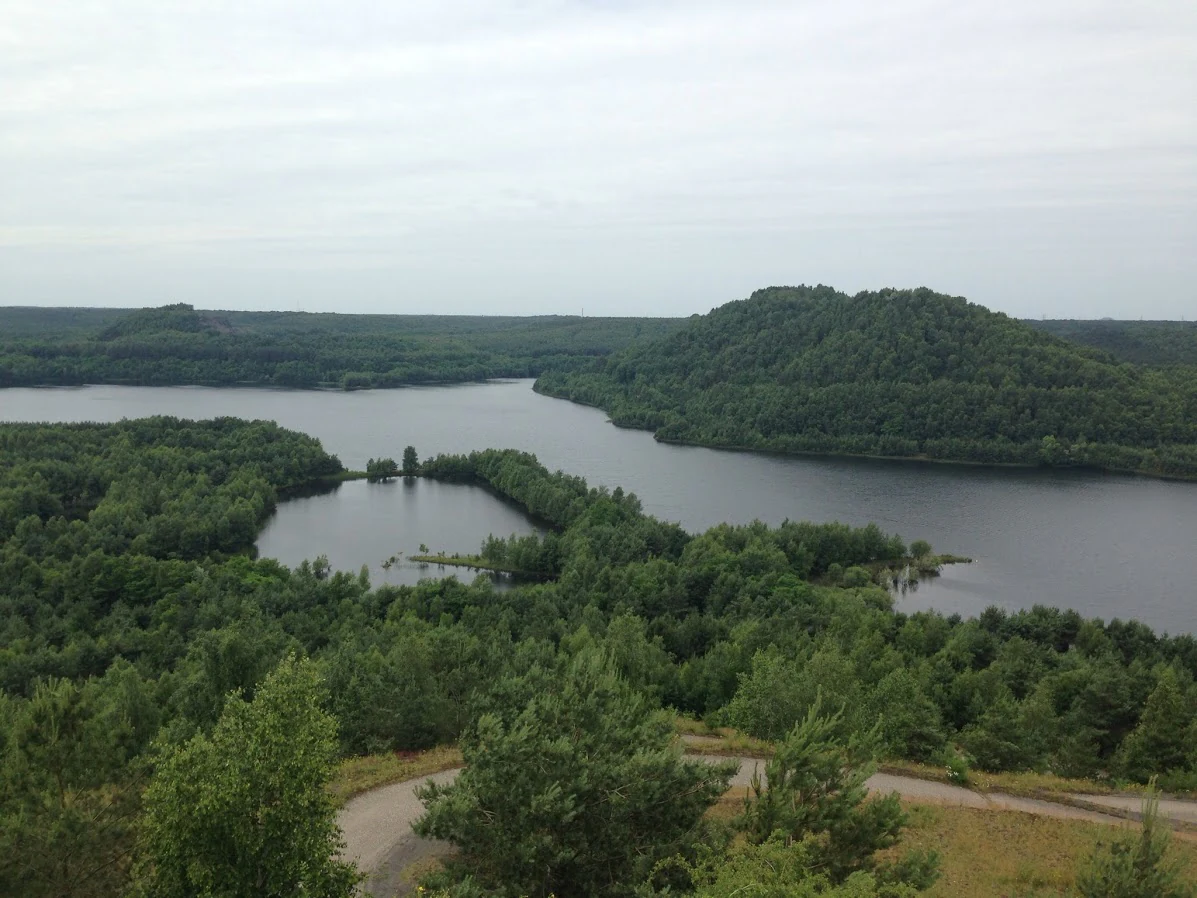 Wide landscape view of a lake surrounded by dense green forests and terrils under an overcast sky