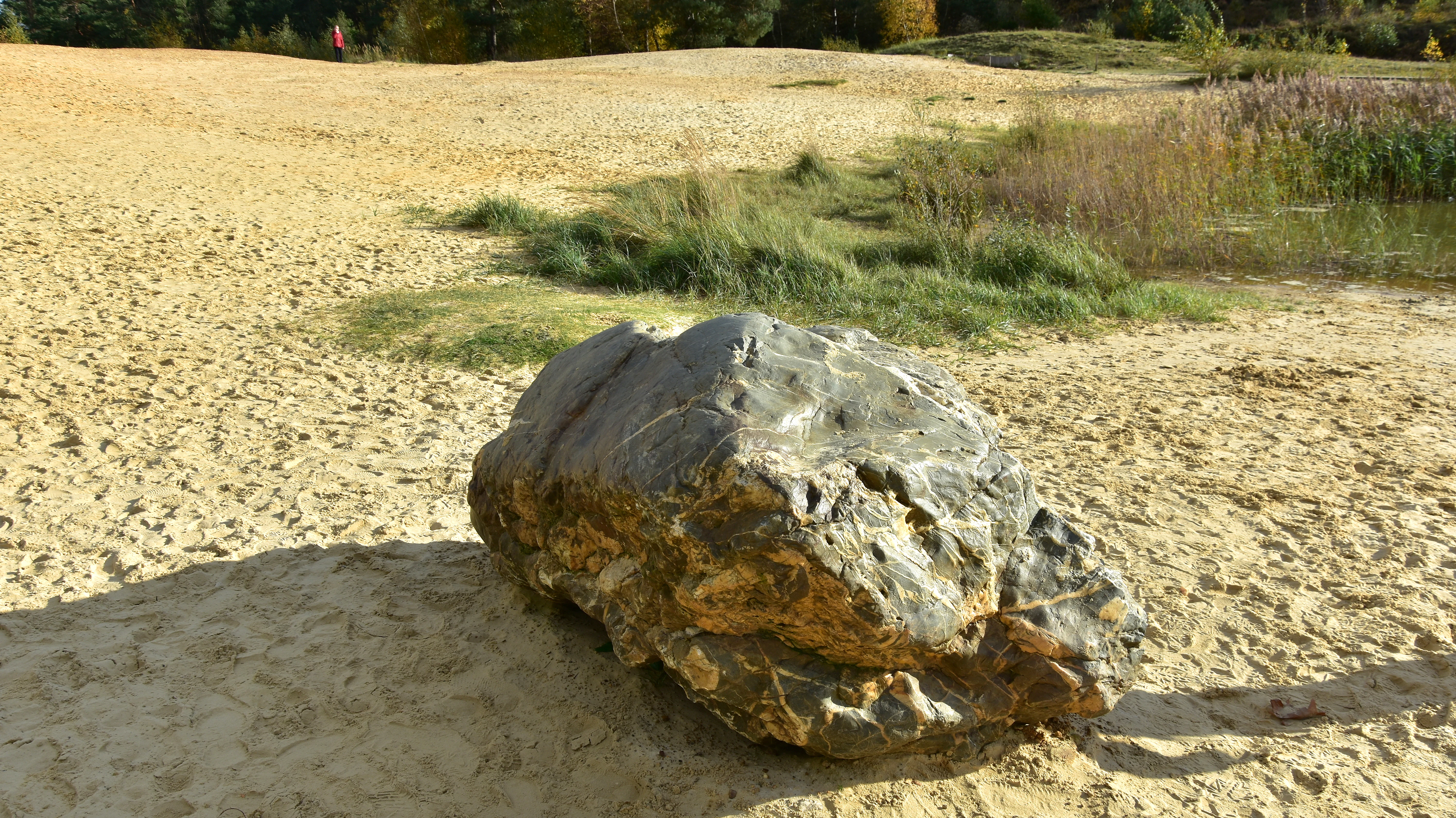 Large rock in sandy landscape with patches of grass and trees in the background