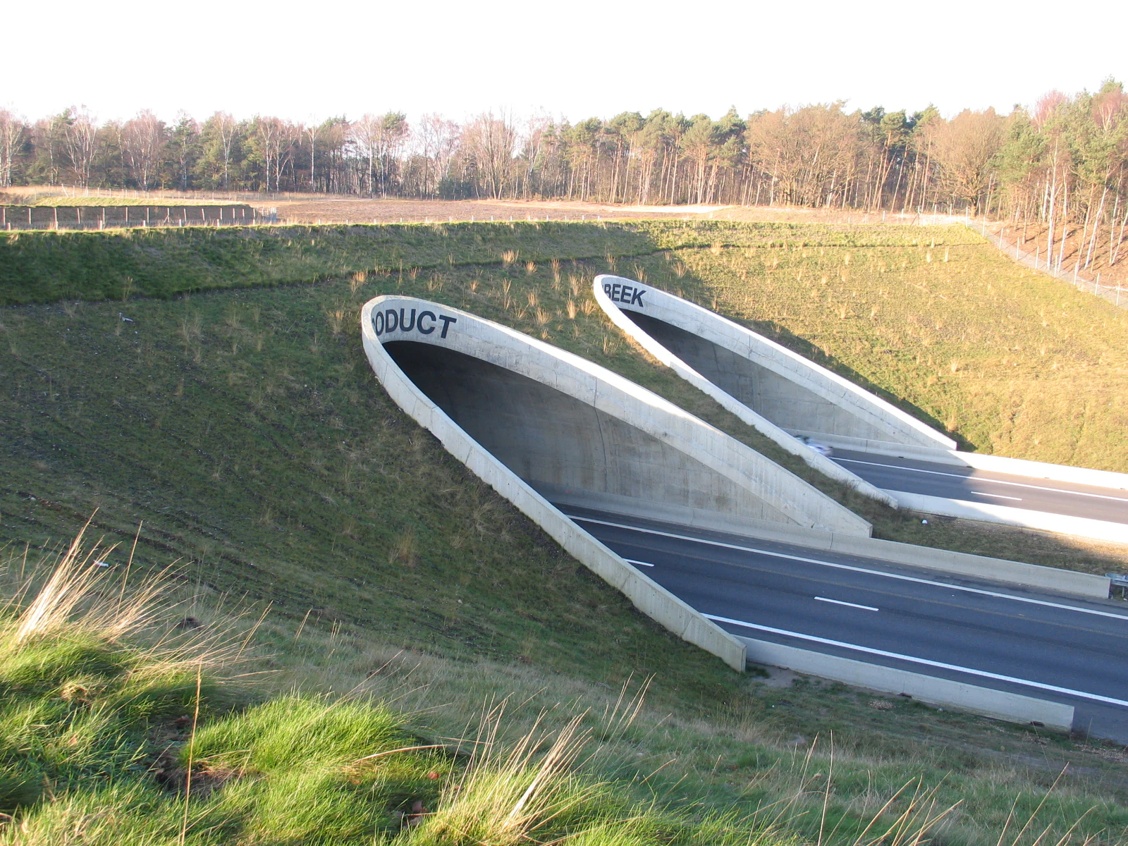 Concrete wildlife crossing structure with 'ECODUCT' and 'EEL' markings spanning a highway, surrounded by grassy embankments and forest