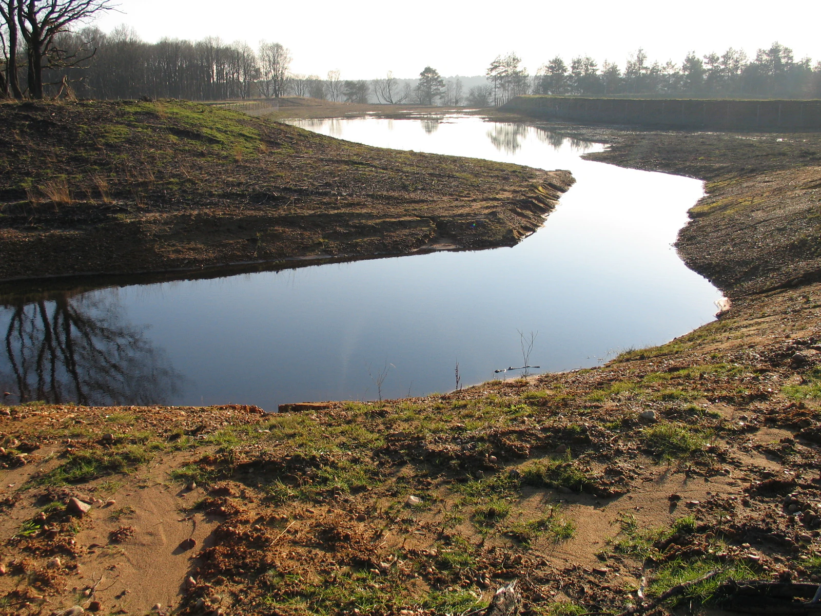 A winding river in a natural landscape with grassy banks and trees in the background