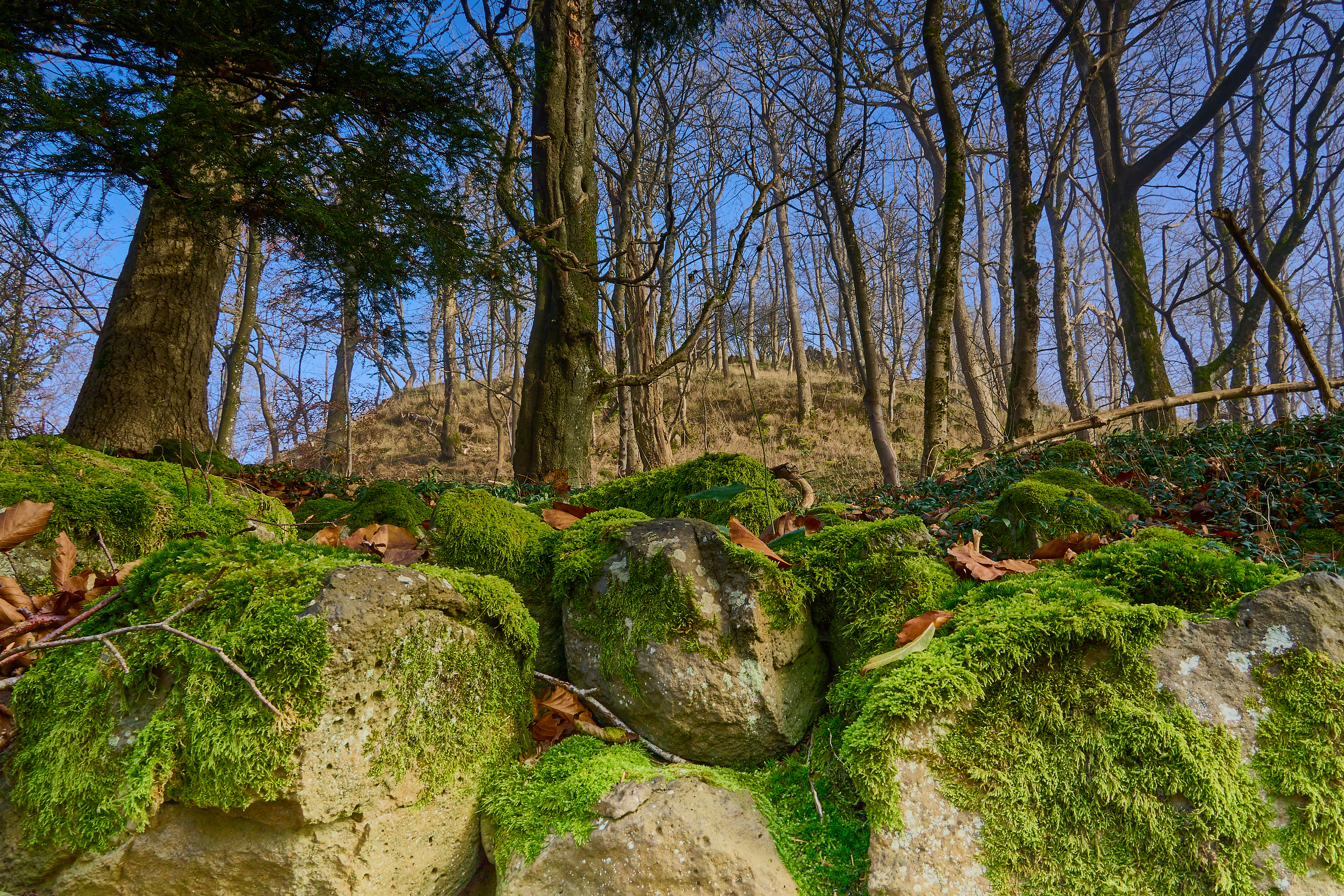 Hohe Acht summit scree