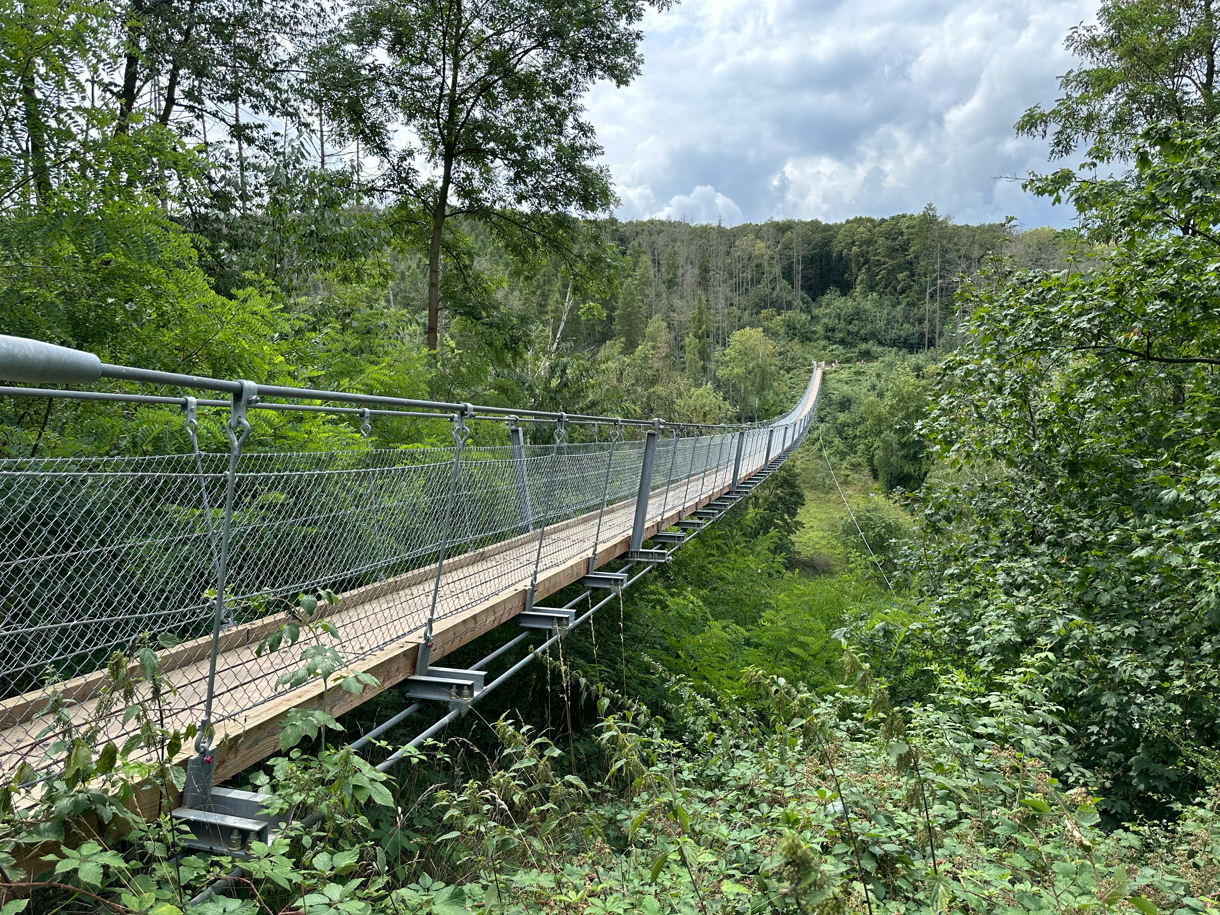 A long, narrow metal and wooden suspension bridge stretches across a lush, green forest canopy, viewed from a slightly elevated angle.