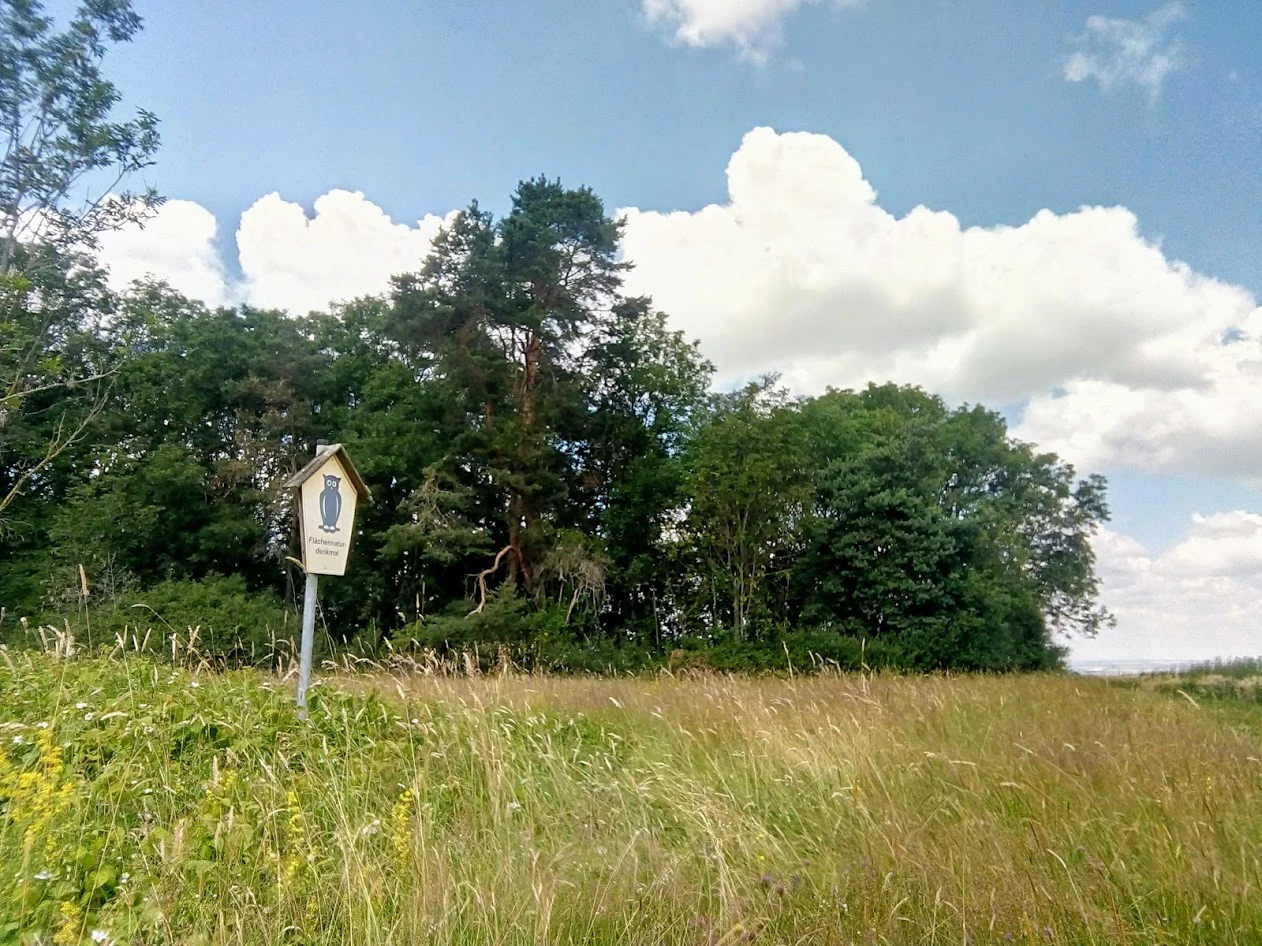 A nature reserve sign with a blue owl emblem stands in a grassy field in front of a dense line of trees under a blue sky with white clouds.