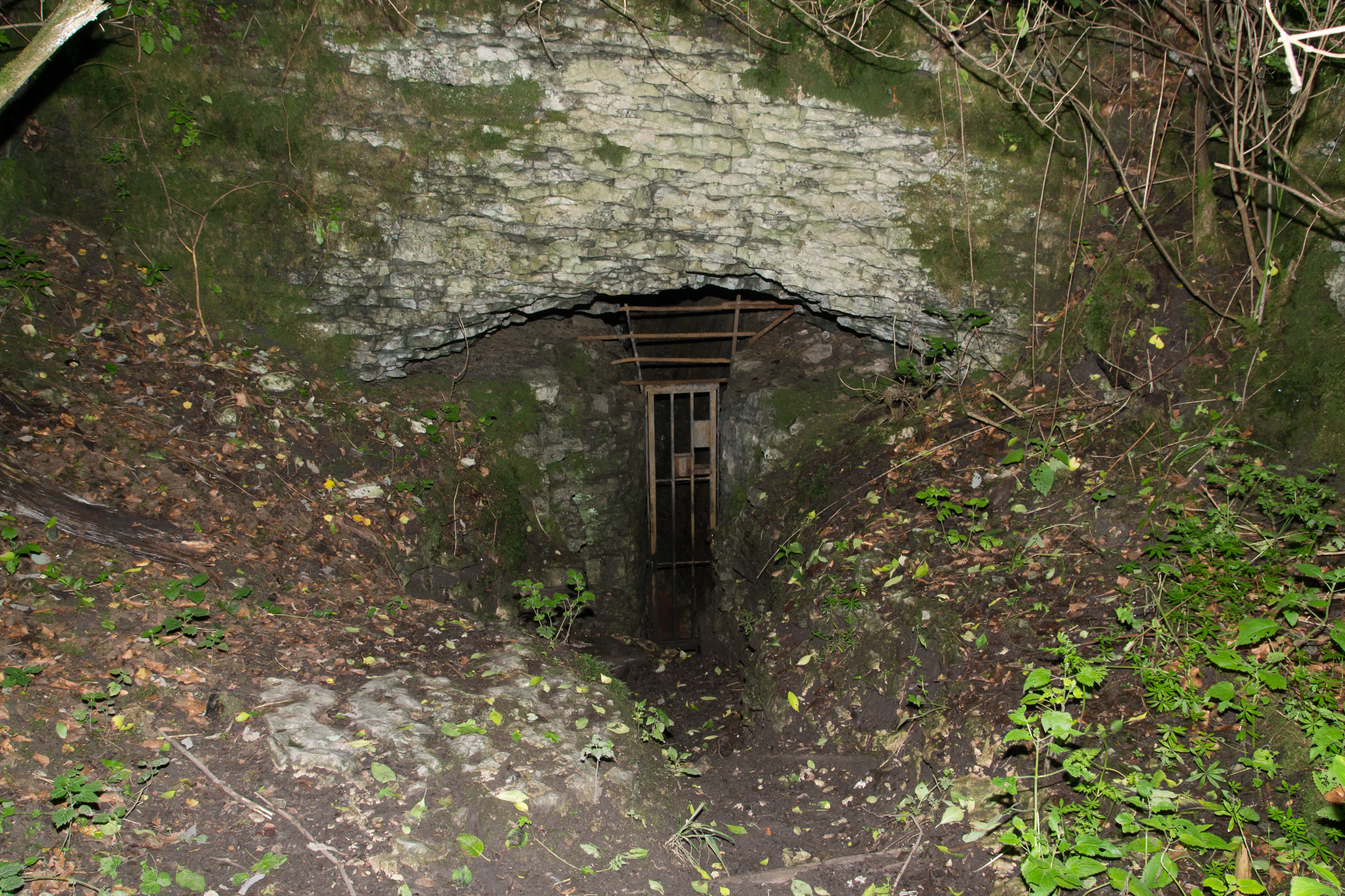A cave entrance with a metal gate set into a rocky hillside, surrounded by moss, fallen leaves, and small green plants.