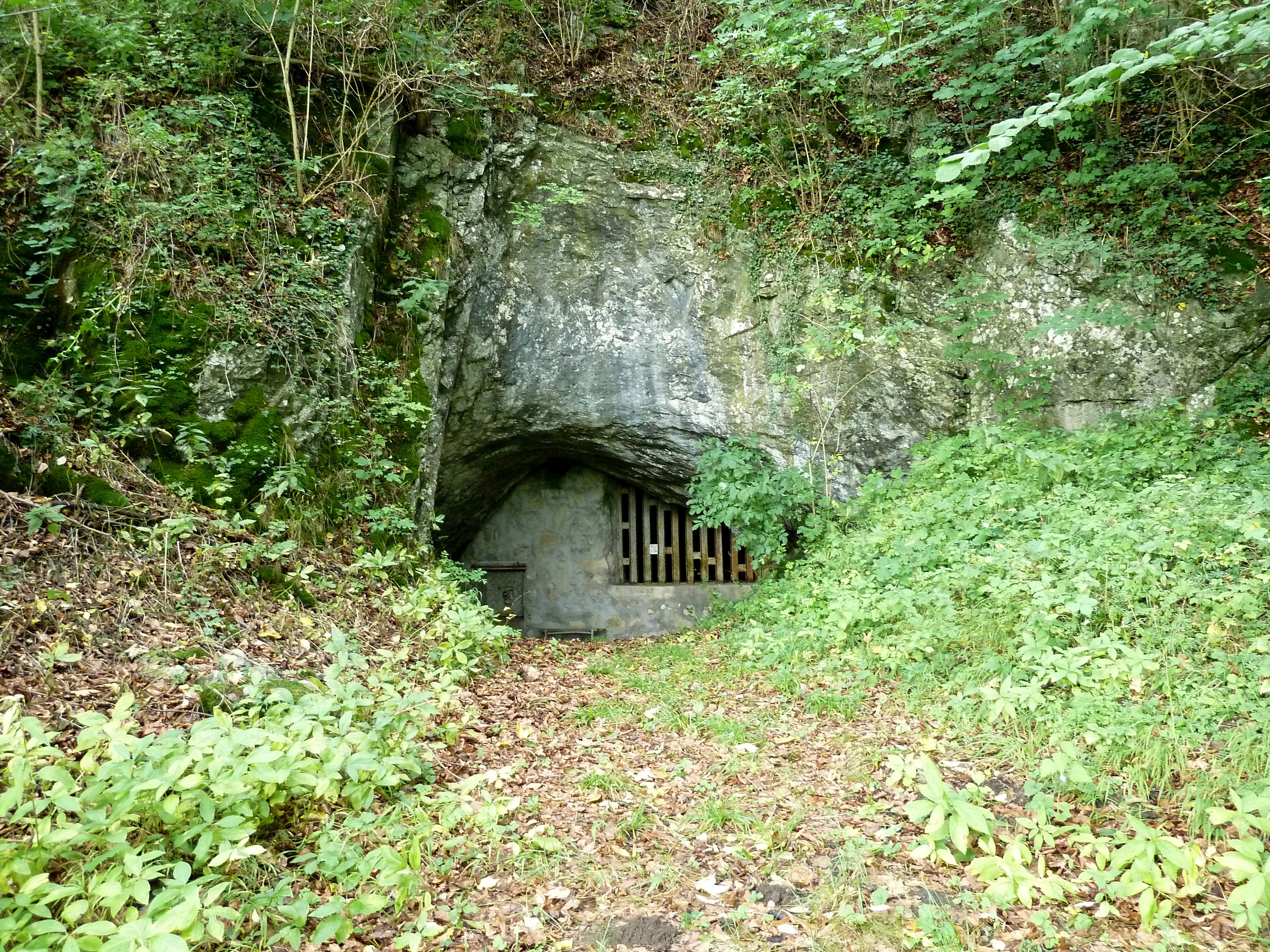 A cave entrance in a rocky cliff face surrounded by green forest vegetation, with a metal grate installed at the opening and a dirt path leading to it.