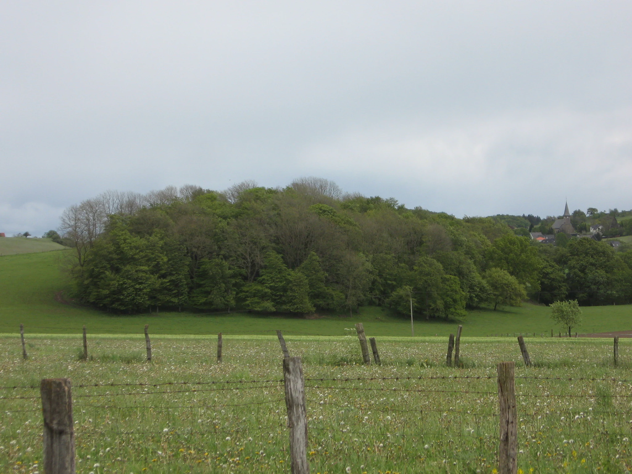 A green meadow with wooden fence posts in the foreground, a dense cluster of trees in the midground, and a village with a church steeple in the background under an overcast sky.
