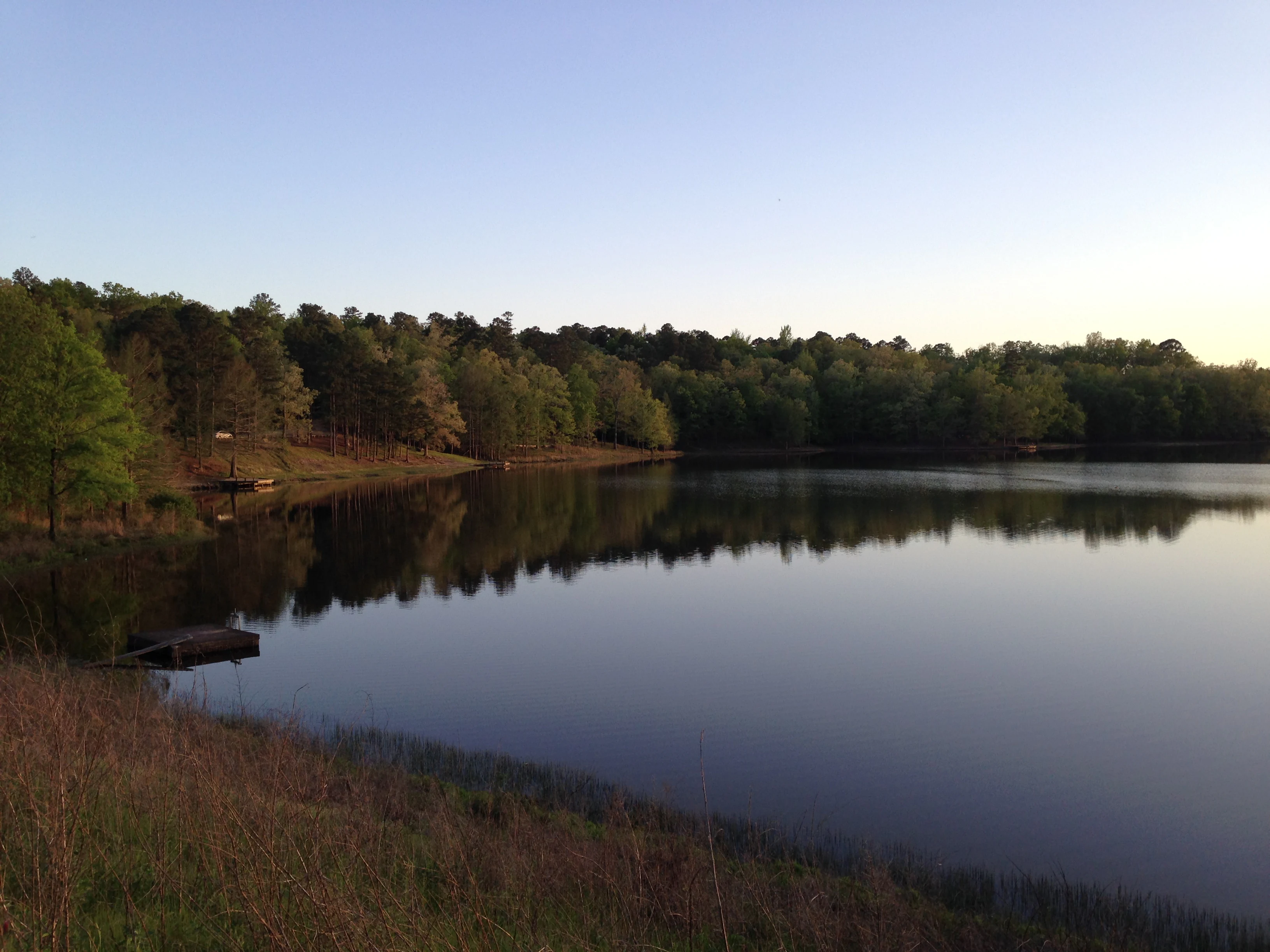 A wide, calm lake surrounded by a dense forest under a soft, clear sky at dusk.