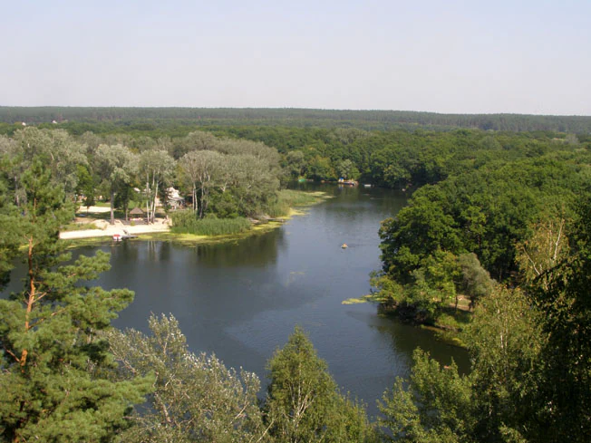 Wide river with dense green forests on both banks and a small clearing with structures on the left bank