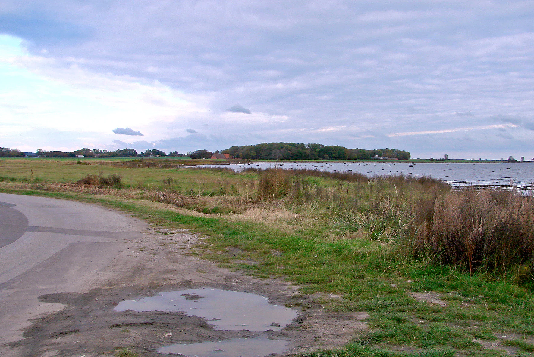 A coastal landscape in Denmark showing a paved road in the foreground, grassy fields, and the shoreline of Alro island across the water under a cloudy sky.