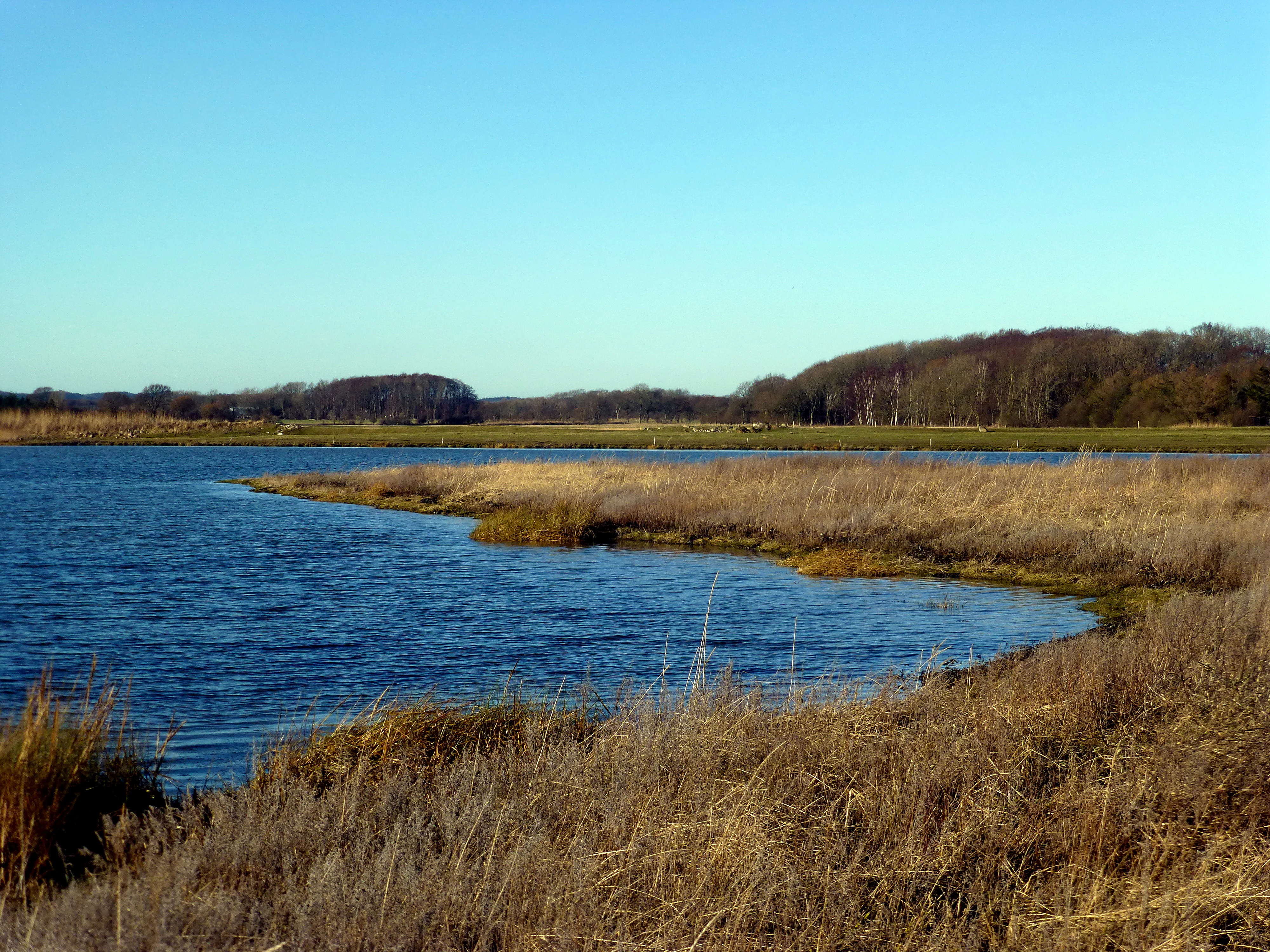 A calm, blue body of water curves around a grassy shoreline with distant woodland under a clear blue sky.