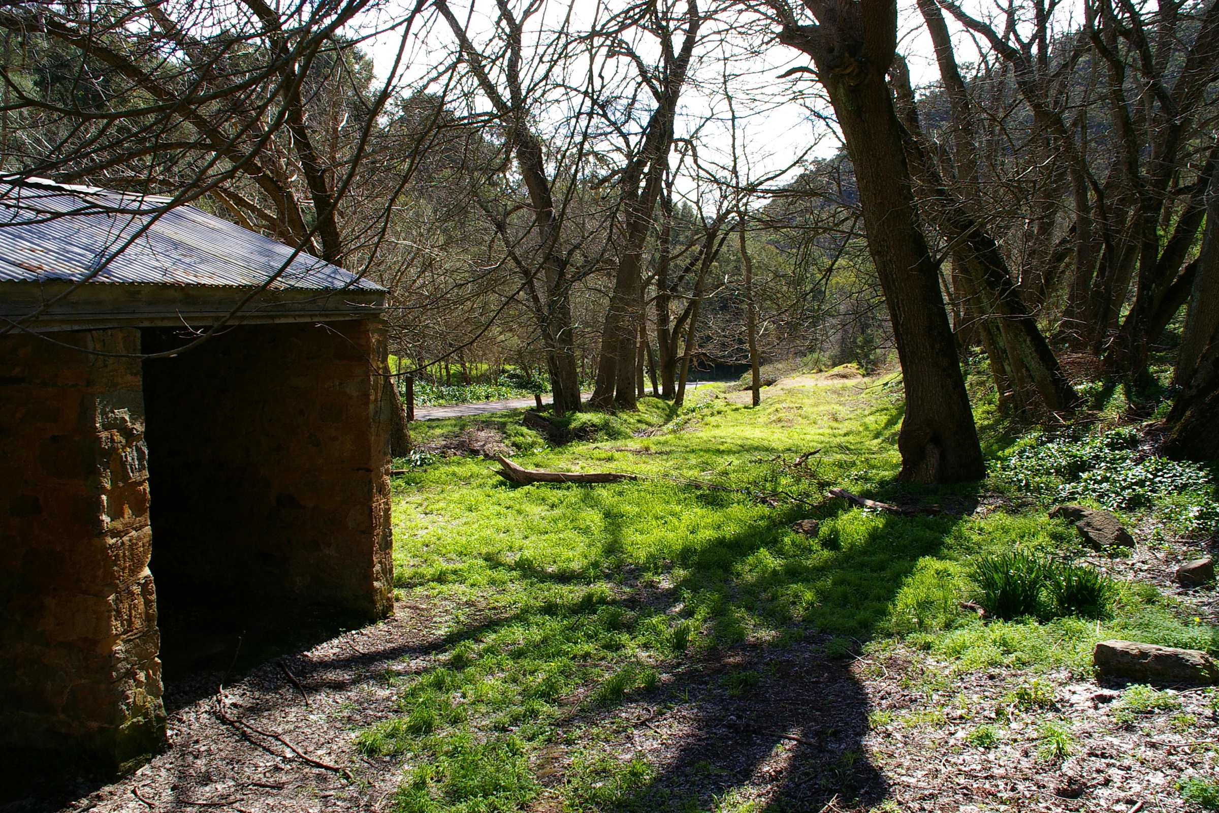 A rustic stone building with a dark opening stands in a wooded, grassy area, with trees casting long shadows on the ground.