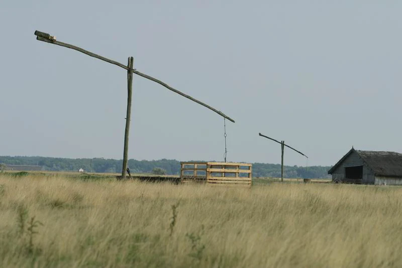 Grassy field with a wooden well structure, small buildings, and distant horizon under clear sky