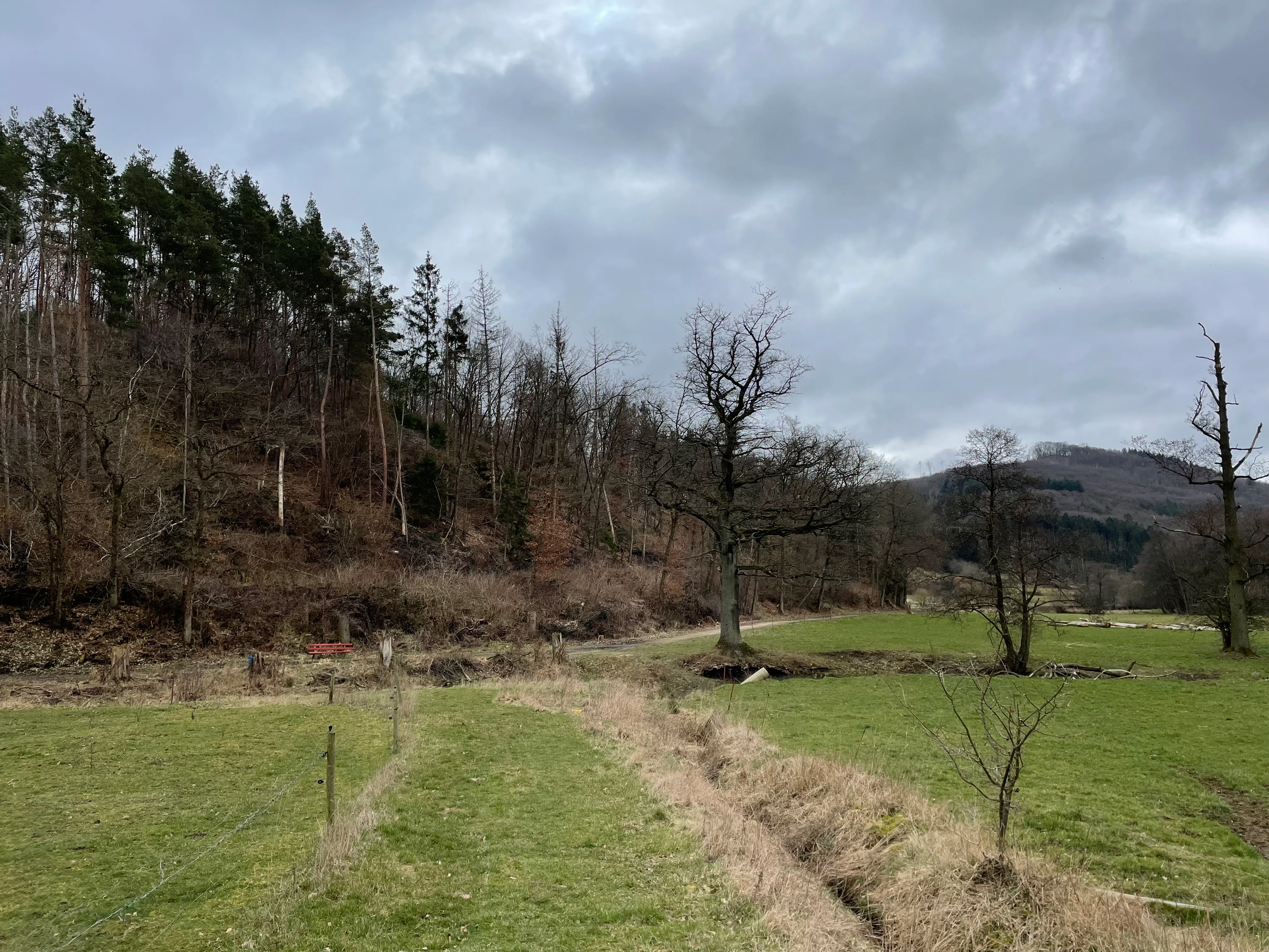 A wide view of a green meadow with a small ditch and a forested hillside under a cloudy grey sky.