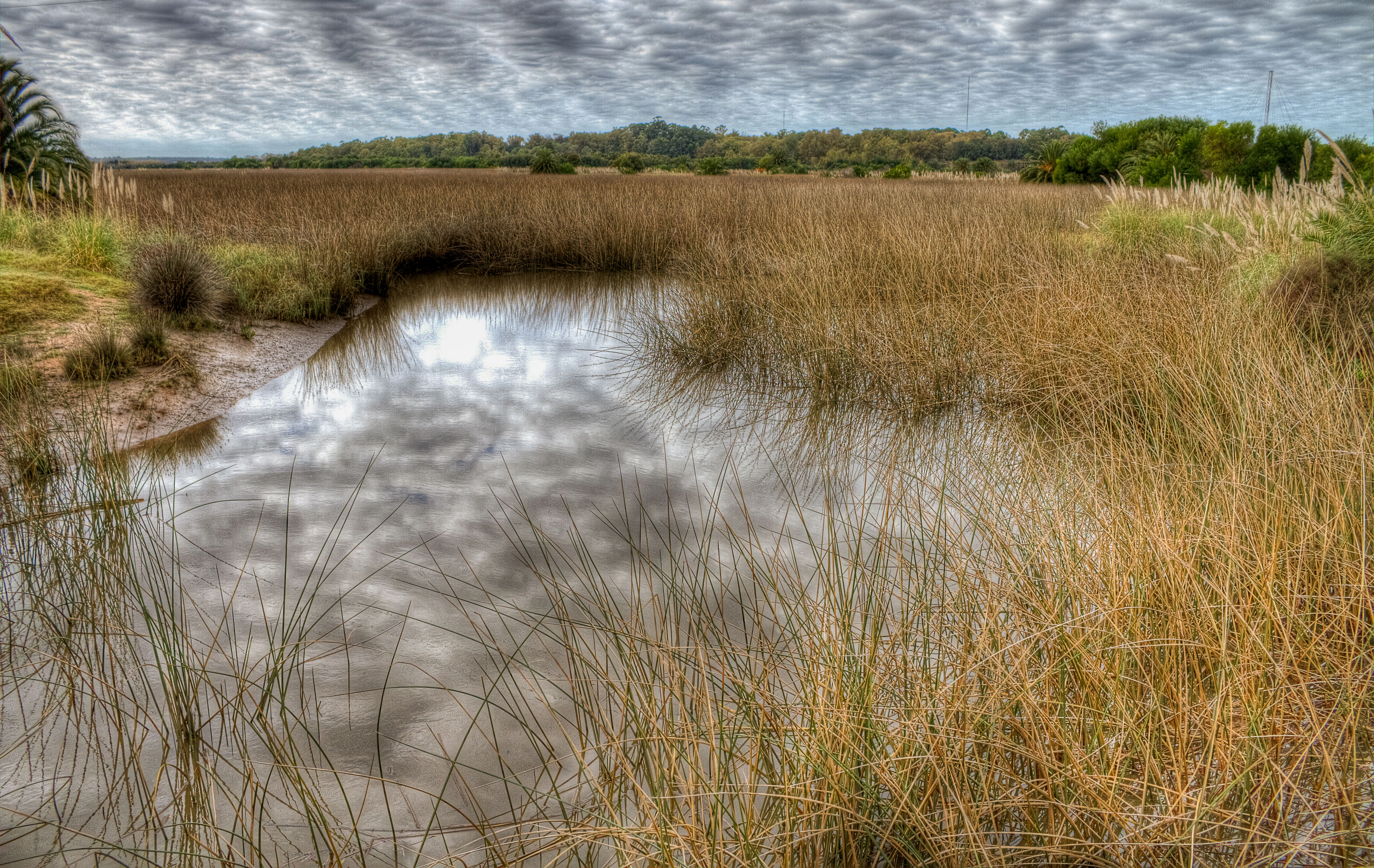 A small canal reflects a cloudy sky, surrounded by tall golden-brown grasses and low-lying vegetation in a wetland environment.