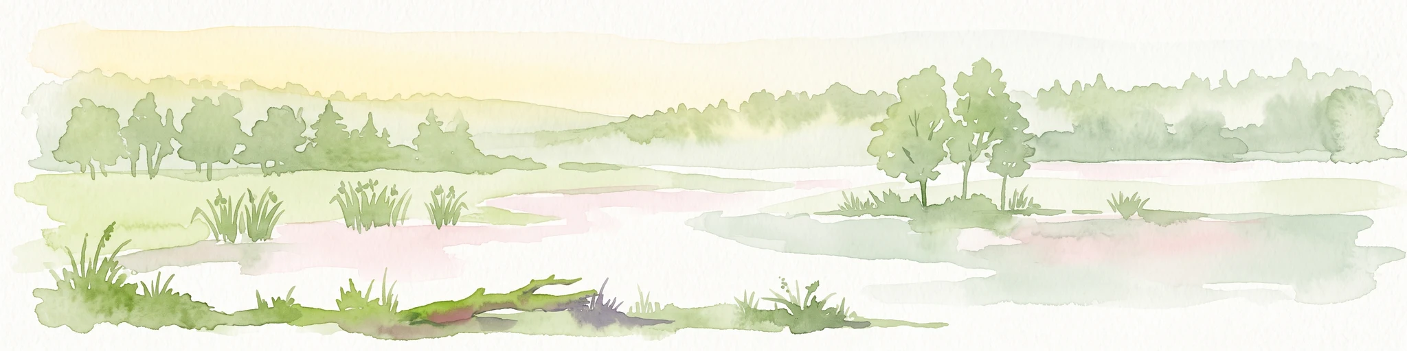 A horizontal watercolor illustration of a calm stream flowing through a wetland with green trees and grasses along the banks.