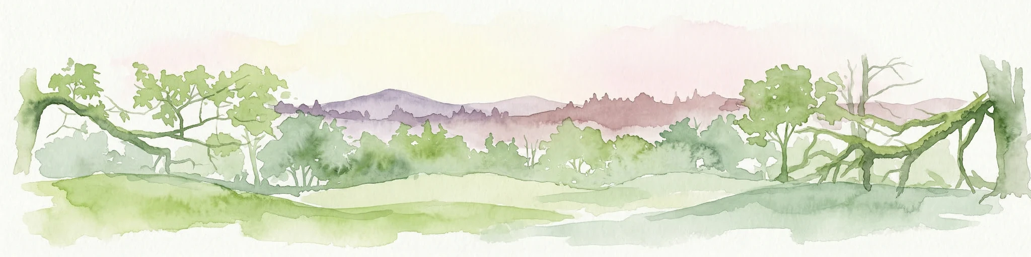 Pintura de acuarela de un paisaje boscoso con colinas onduladas y montañas distantes bajo un cielo pálido