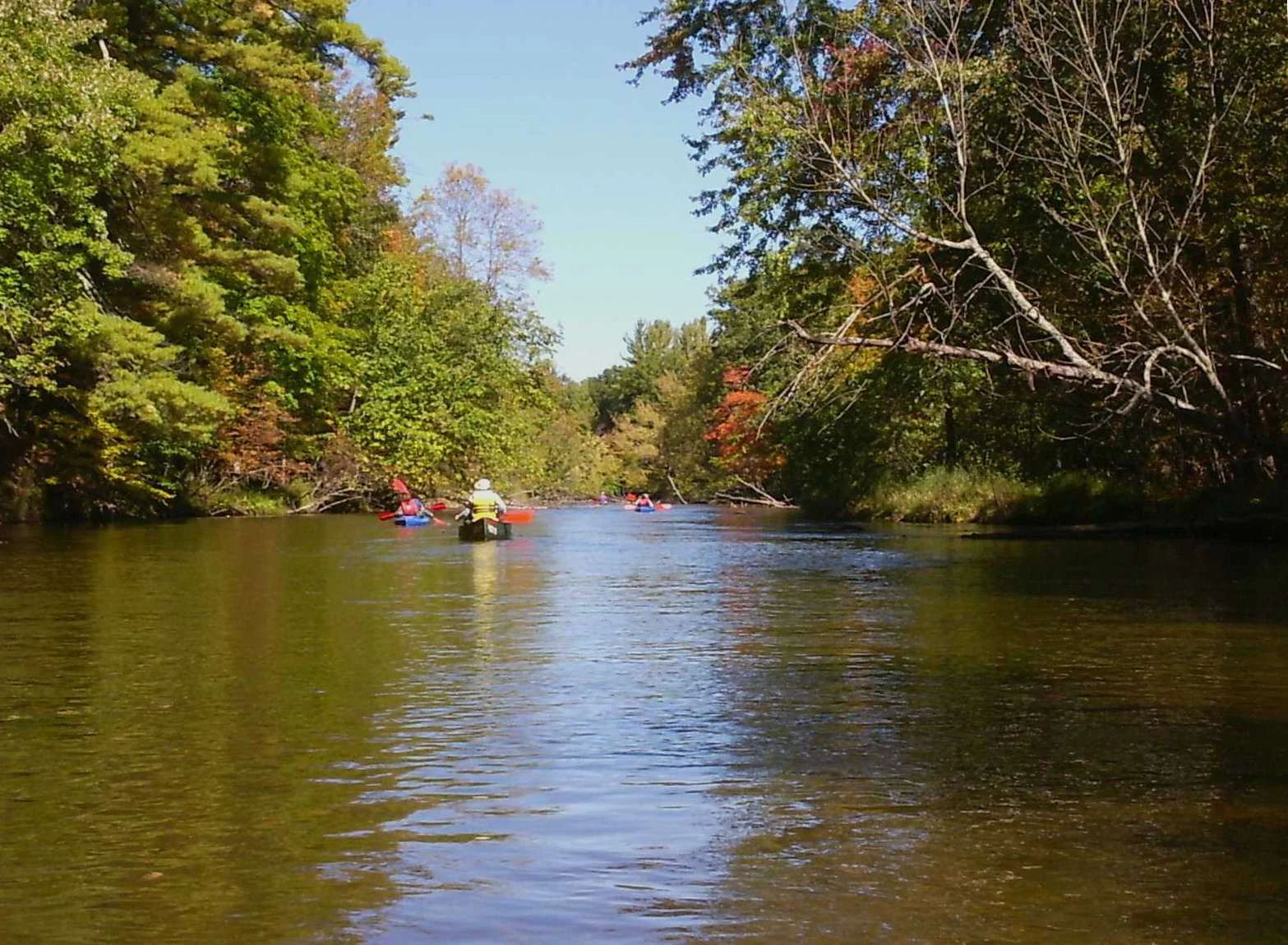 A view from the water level of a river flowing through a lush forest, with several people paddling in kayaks and canoes in the distance.
