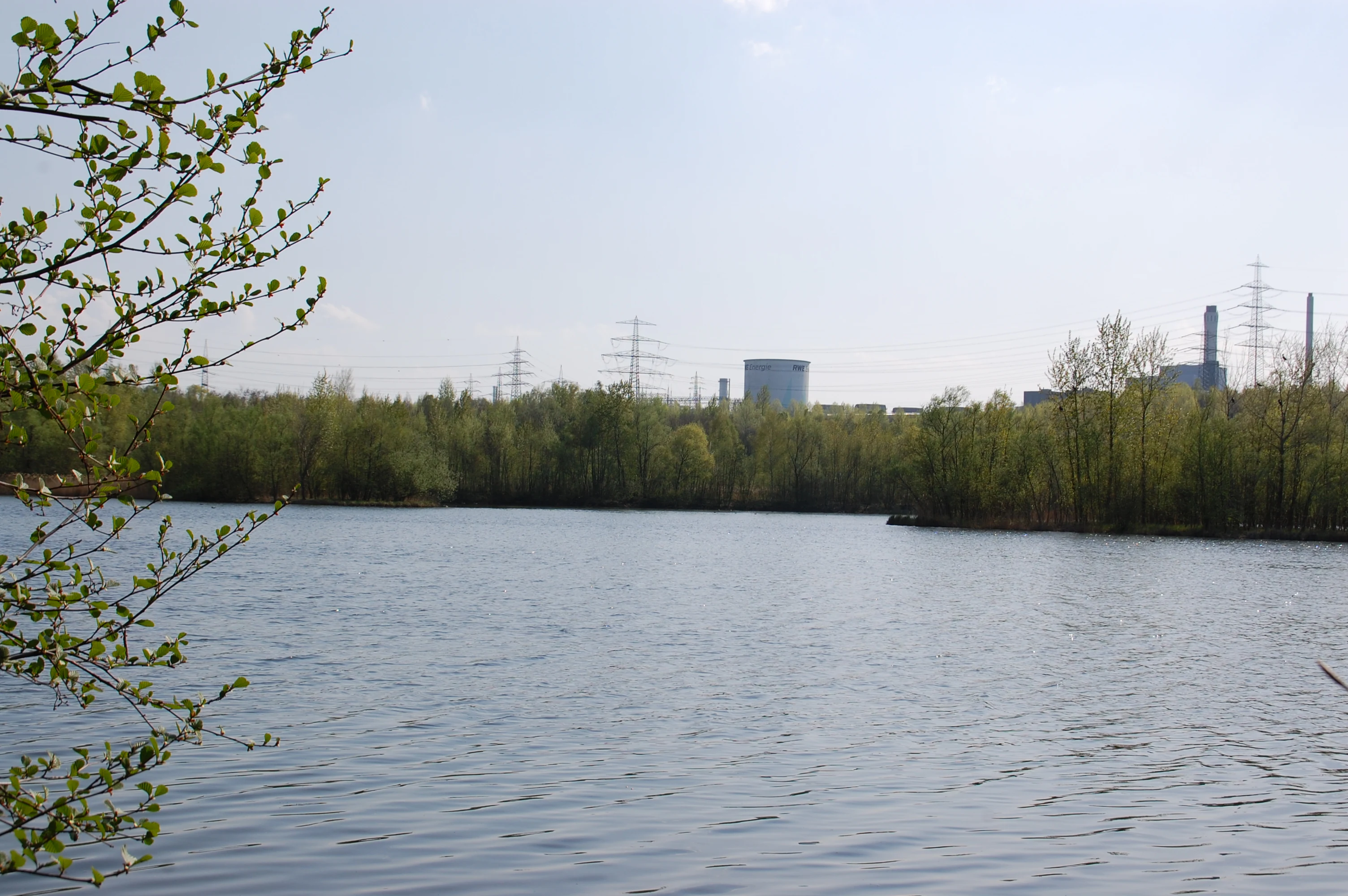 A calm lake with a treeline of green deciduous trees reflecting in the water; industrial smokestacks and power lines are visible in the distance under a pale blue sky.
