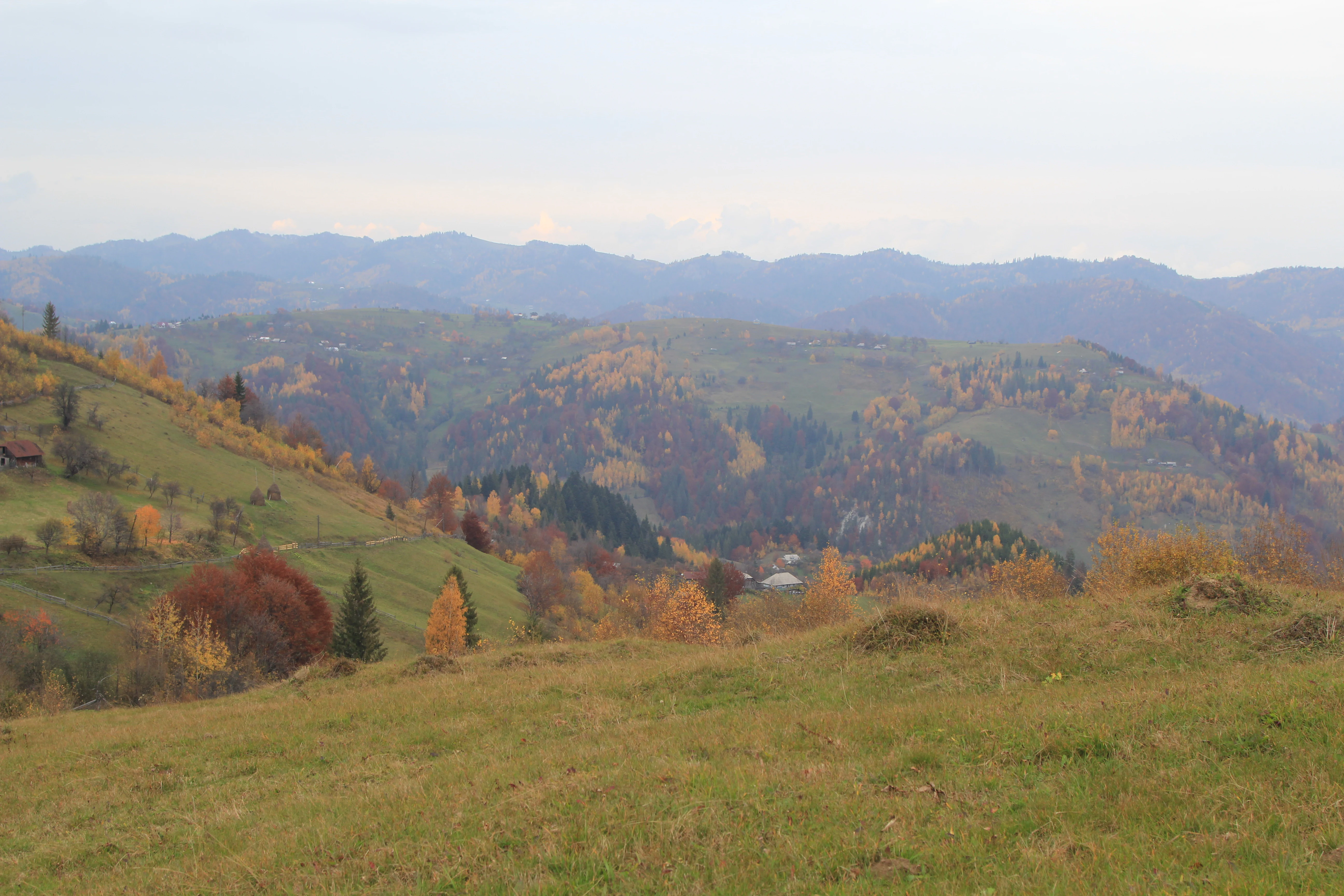 Grassy hillside with autumn foliage, distant mountains, and a small settlement in a valley