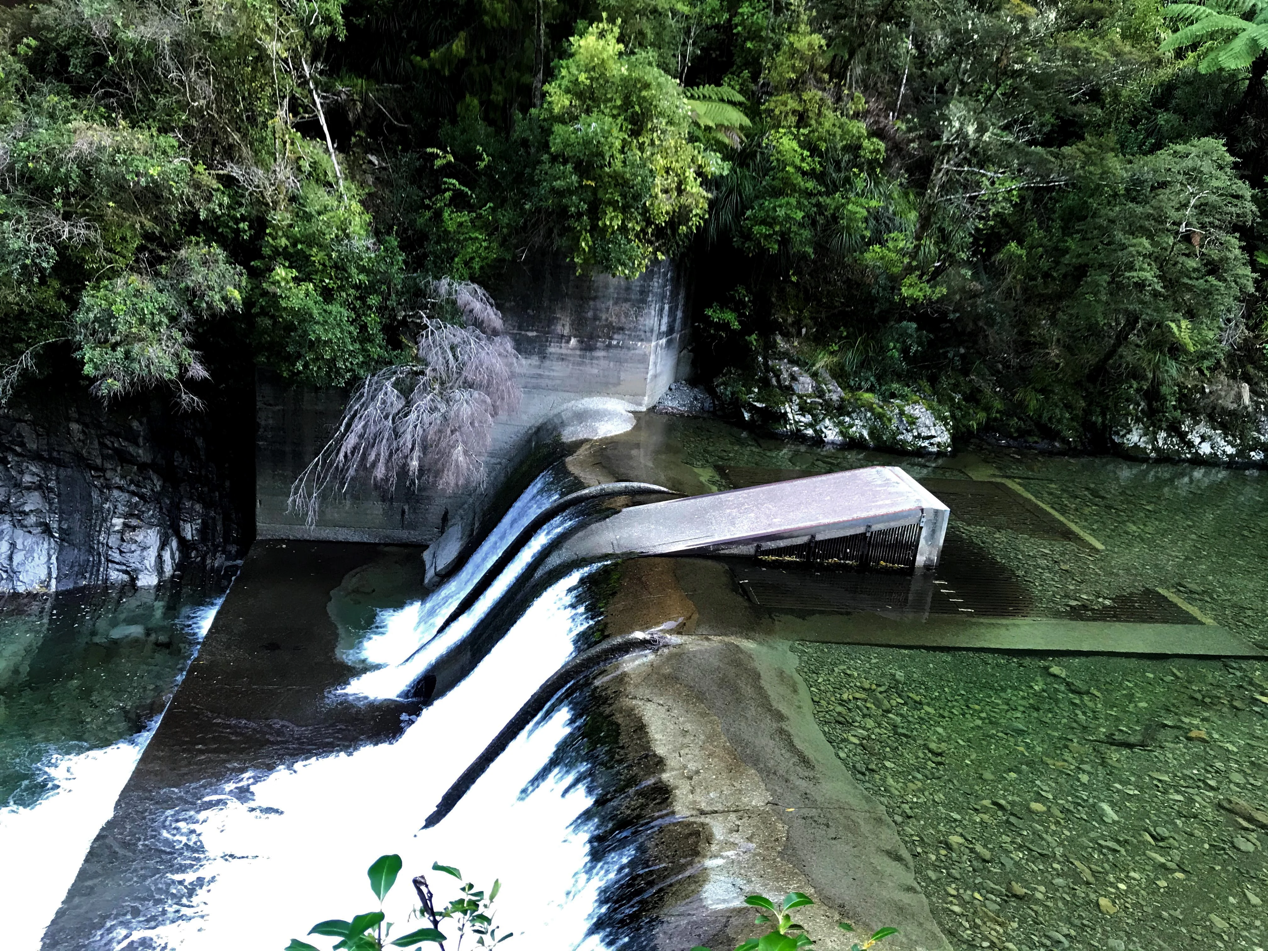A concrete weir structure spans a clear, shallow river, creating a small waterfall, with dense native forest in the background.