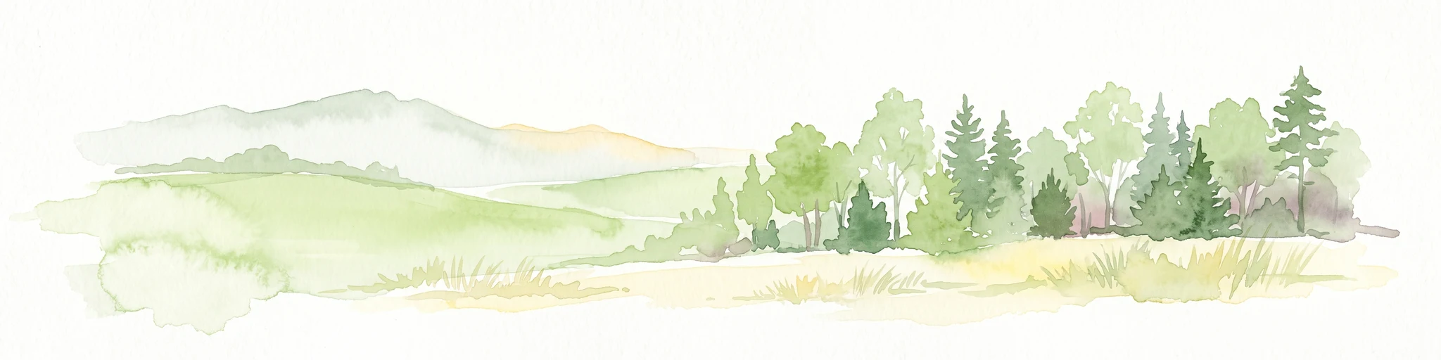A watercolor illustration of a rolling grassy landscape with a cluster of pine and deciduous trees on a white background.