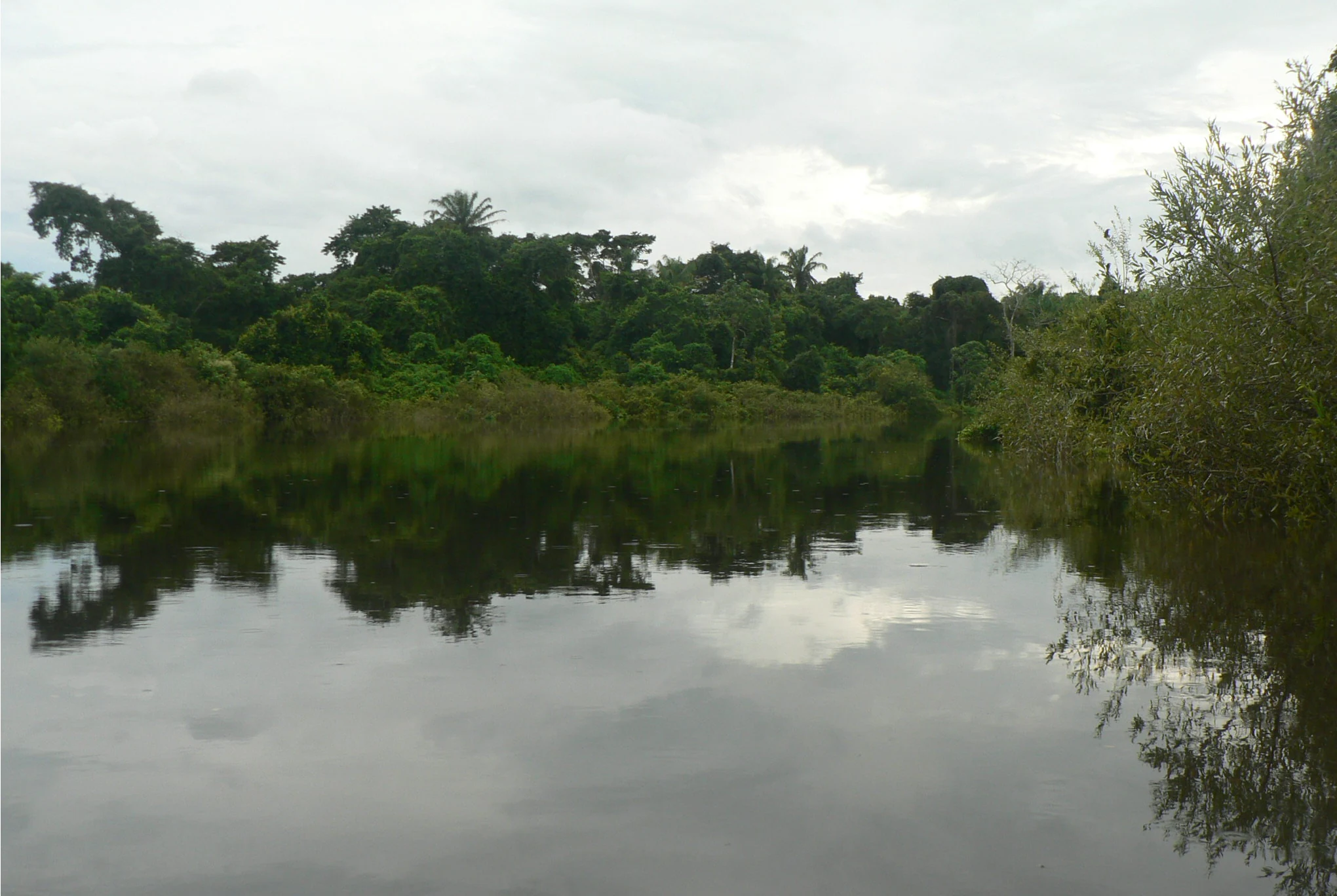 A wide, calm river reflecting the cloudy sky, bordered by dense tropical forest on the banks.