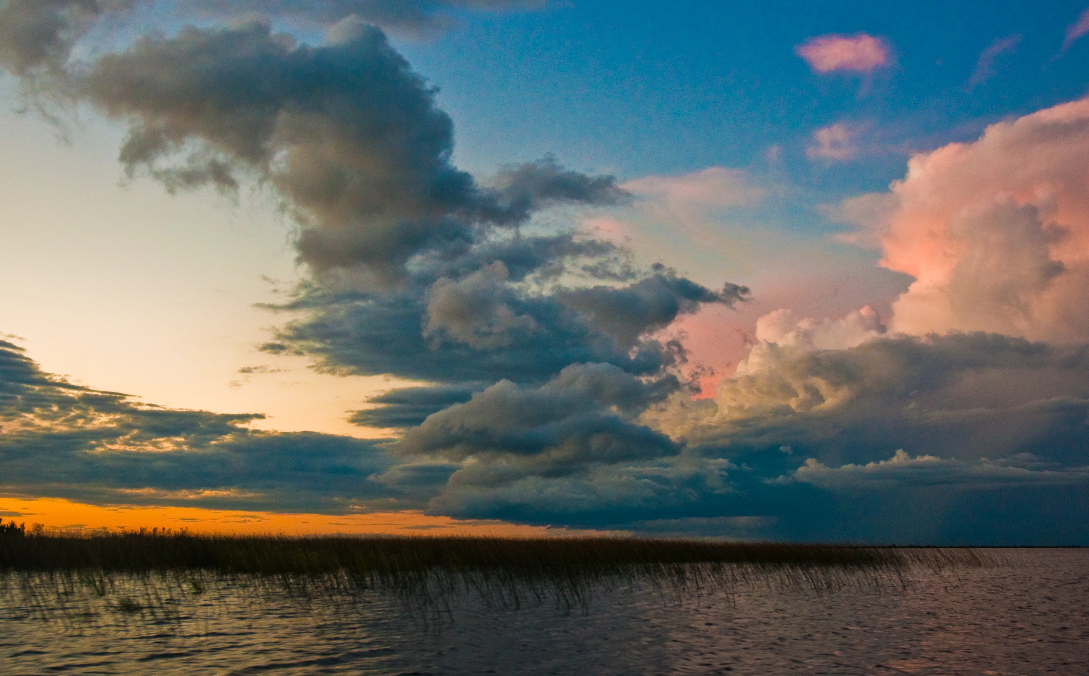 A wide view of the Iberá Wetlands at sunset, featuring tall grasses rising from the dark water under a dramatic sky with large, multi-colored clouds.