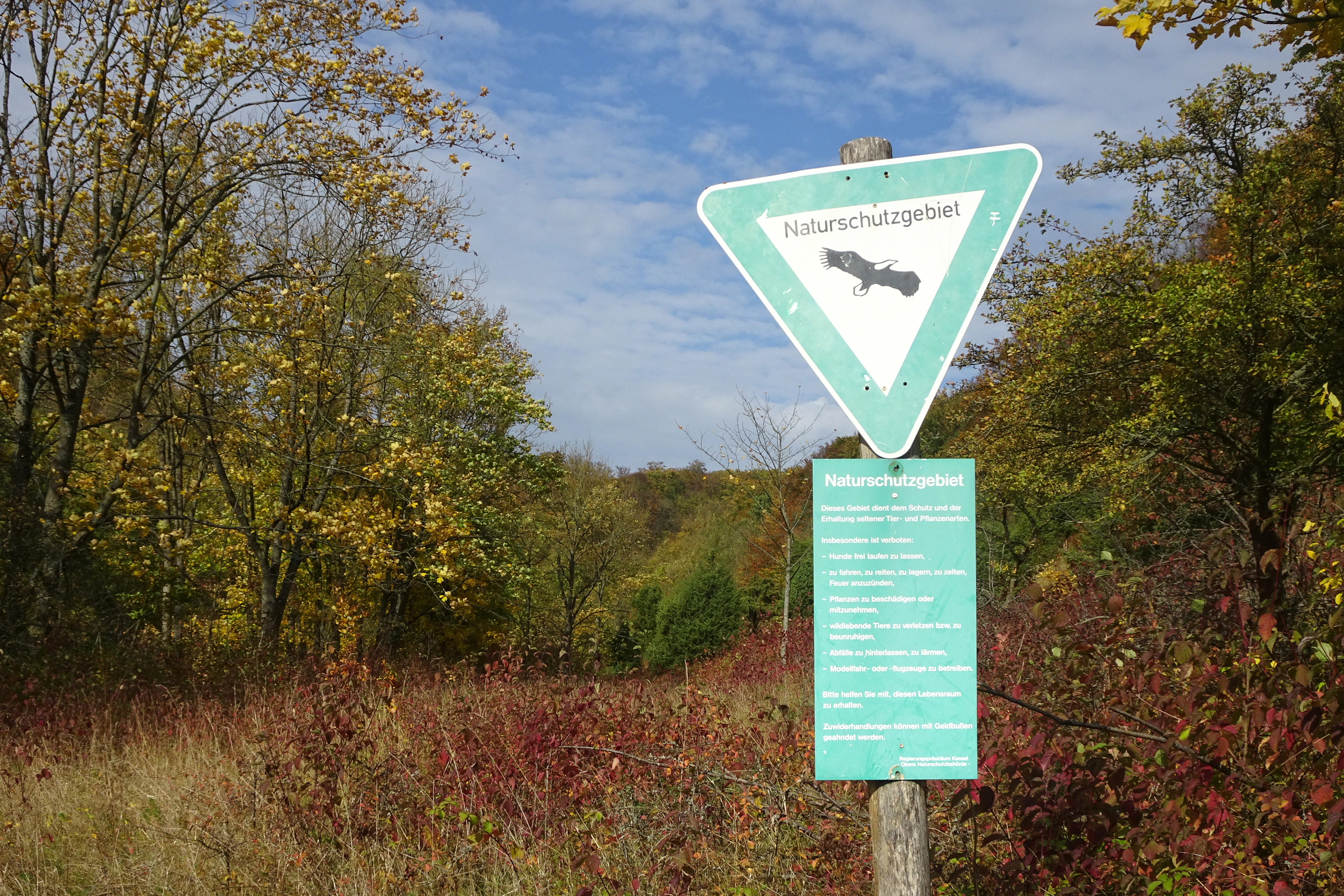 A German nature reserve sign, Naturschutzgebiet, mounted on a wooden post, set against an autumn forest and hilly landscape.