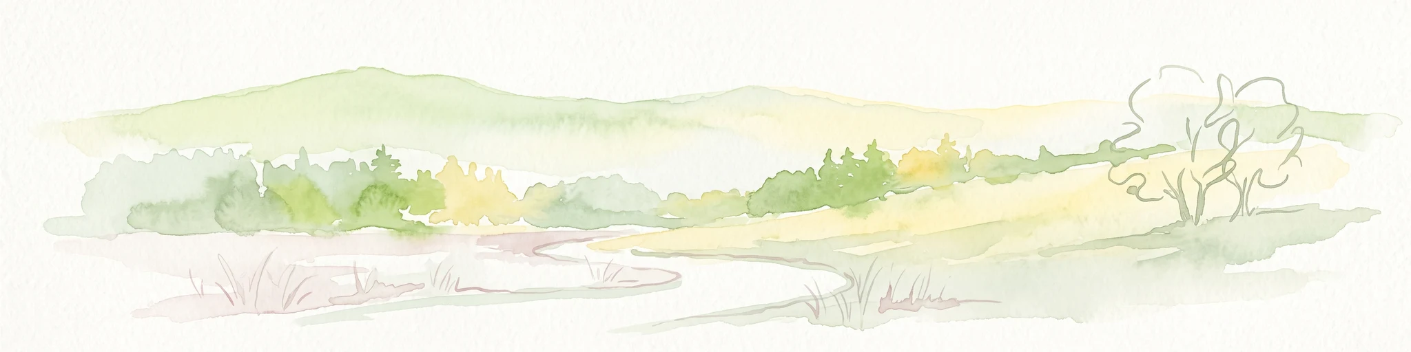 Una ilustración minimalista en acuarela que representa un paisaje suave y ondulado con colinas suaves, un sendero serpenteante y árboles dispersos en tonos verdes claros, amarillos y colores apagados.