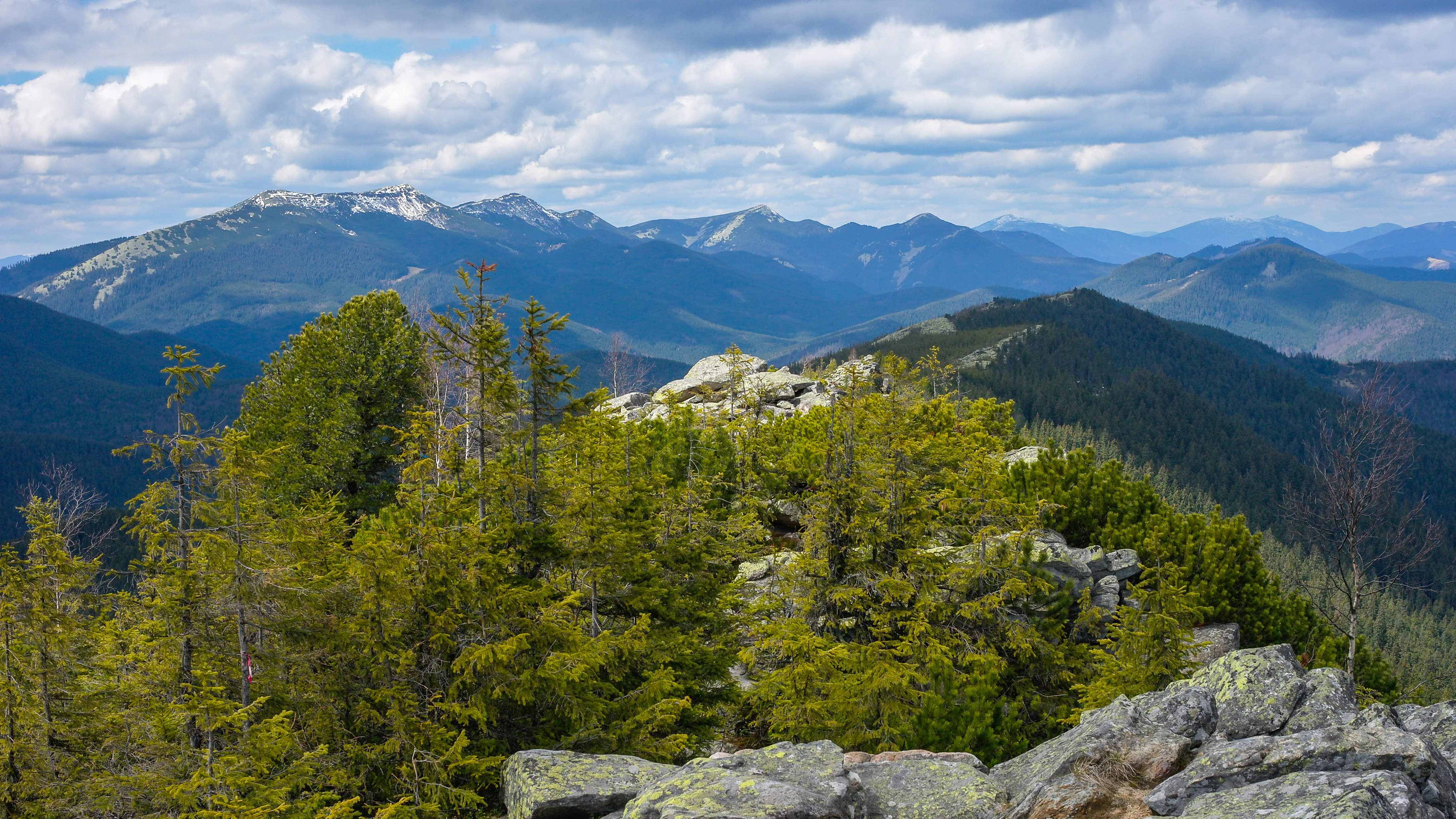 Panoramic mountain landscape with snow-capped peaks in the distance, forested hills, and rocky terrain in the foreground under a partly cloudy sky