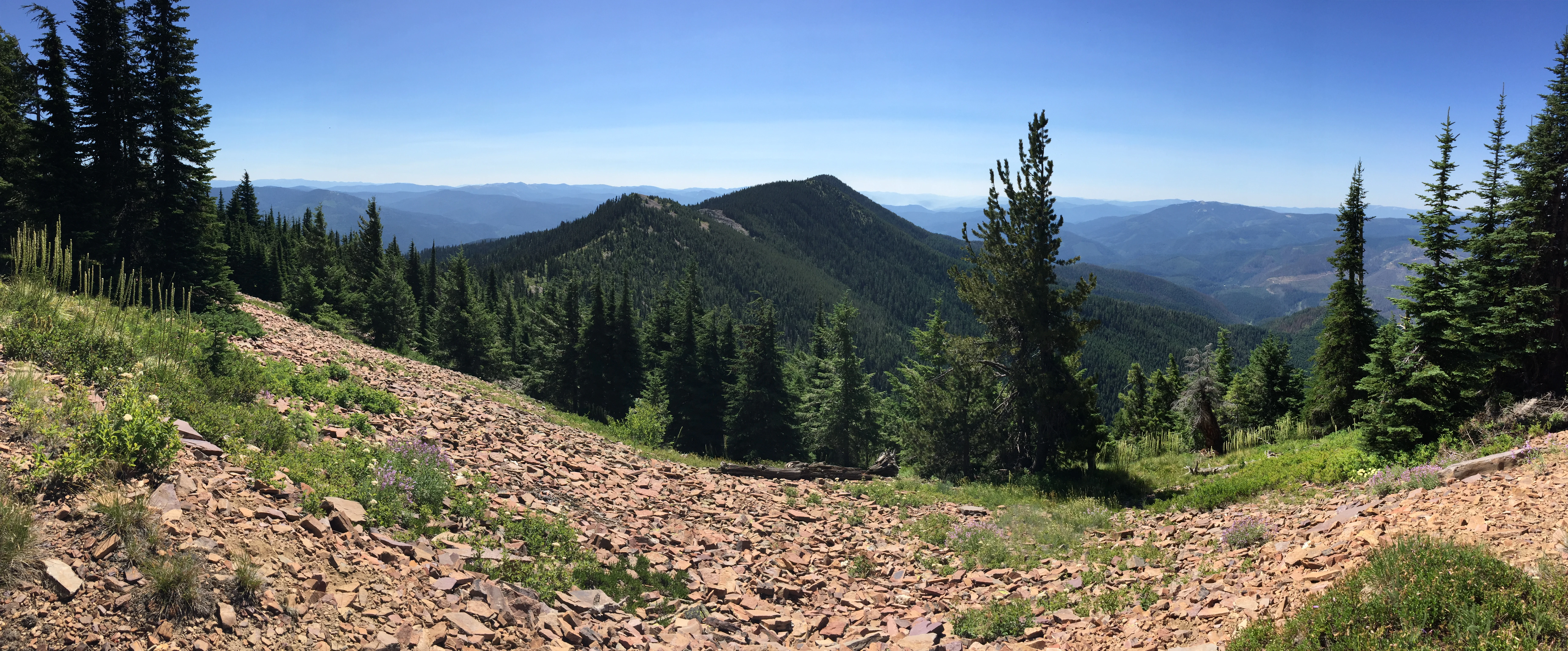 Panoramic landscape view of a rocky, forested mountain ridge under a clear blue sky.