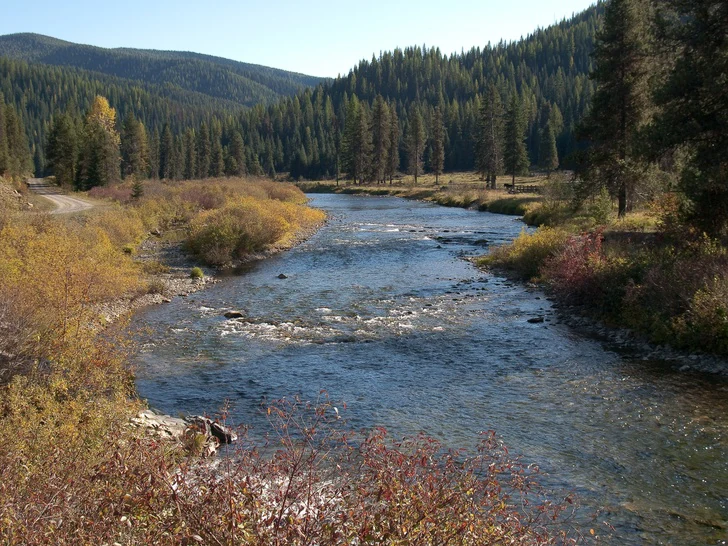 A wide, shallow river flows through a valley surrounded by dense coniferous forest under a clear sky; a dirt road is visible on the left bank.