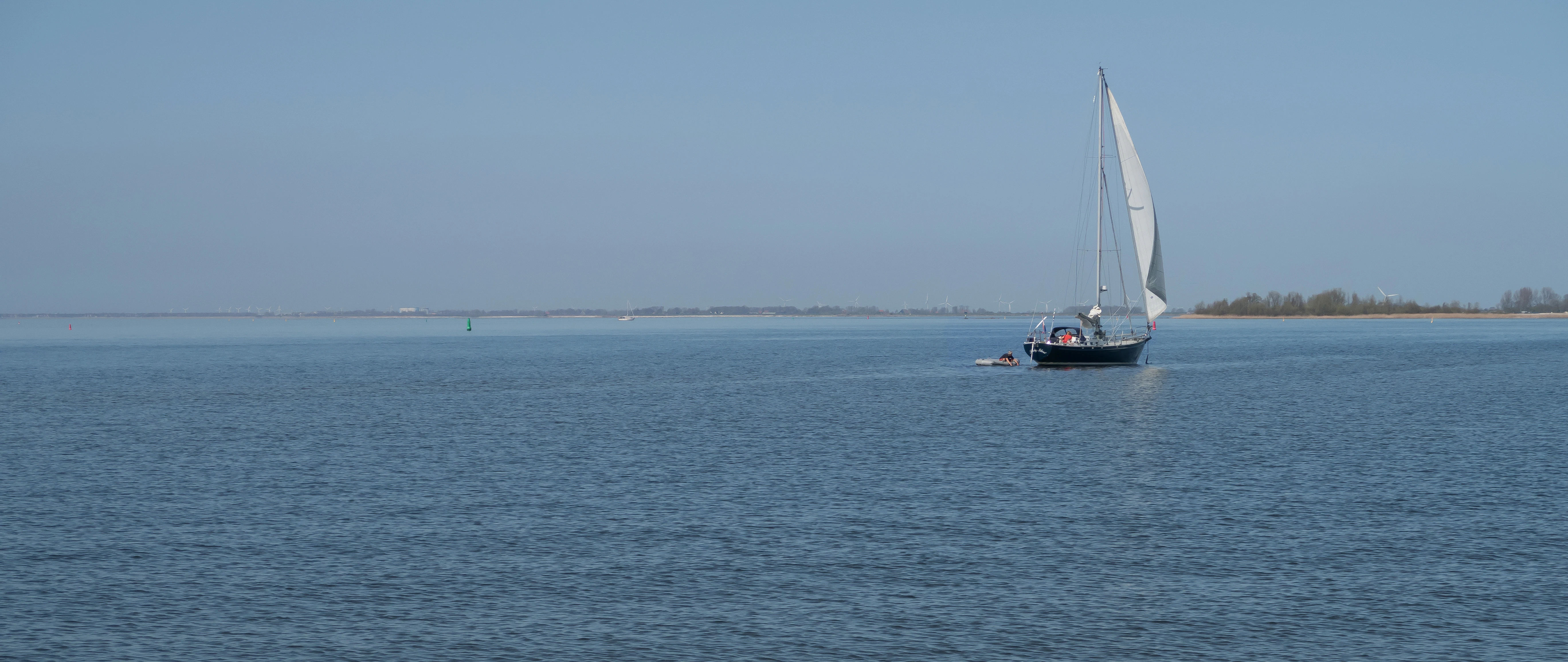 A lone sailboat with a white sail moving across the vast, calm, blue water of the IJsselmeer, with a distant flat shoreline visible on the horizon under a clear sky.