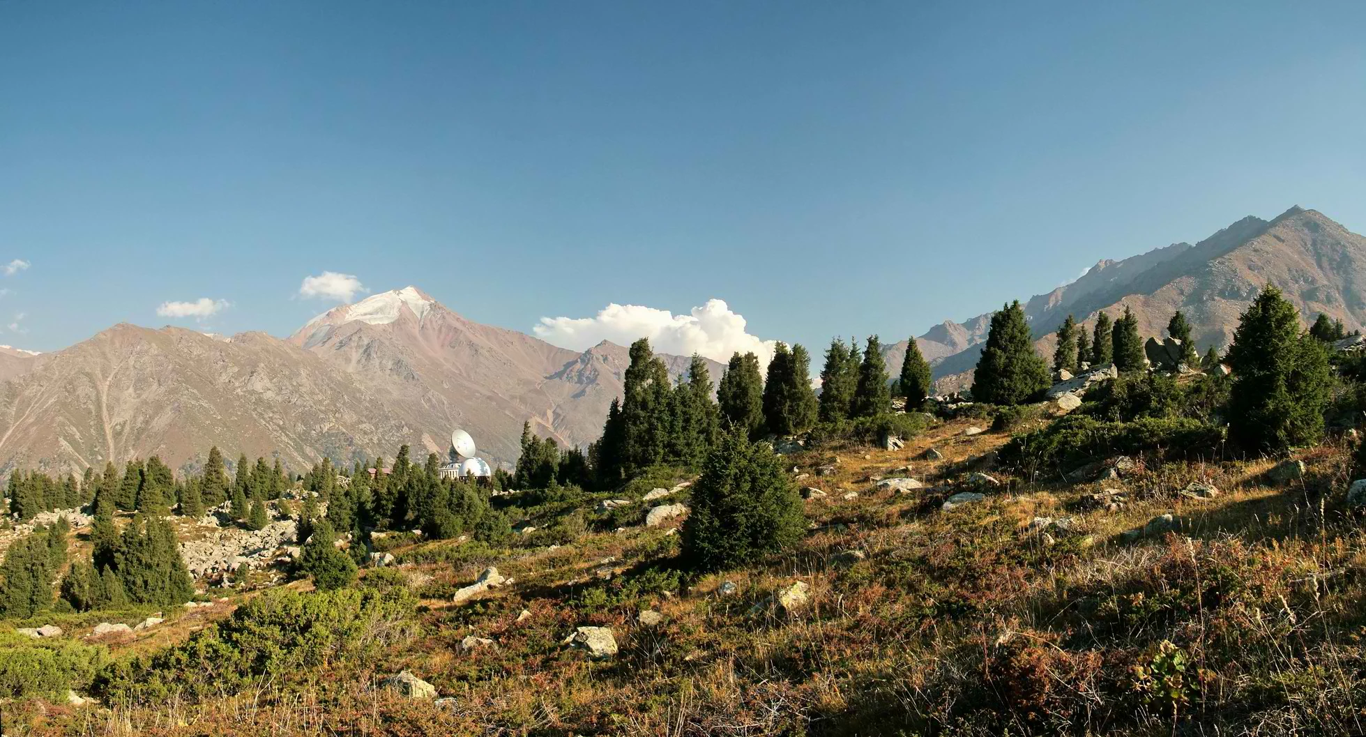Panoramic view of mountain ranges, coniferous trees, and open meadows under a clear blue sky