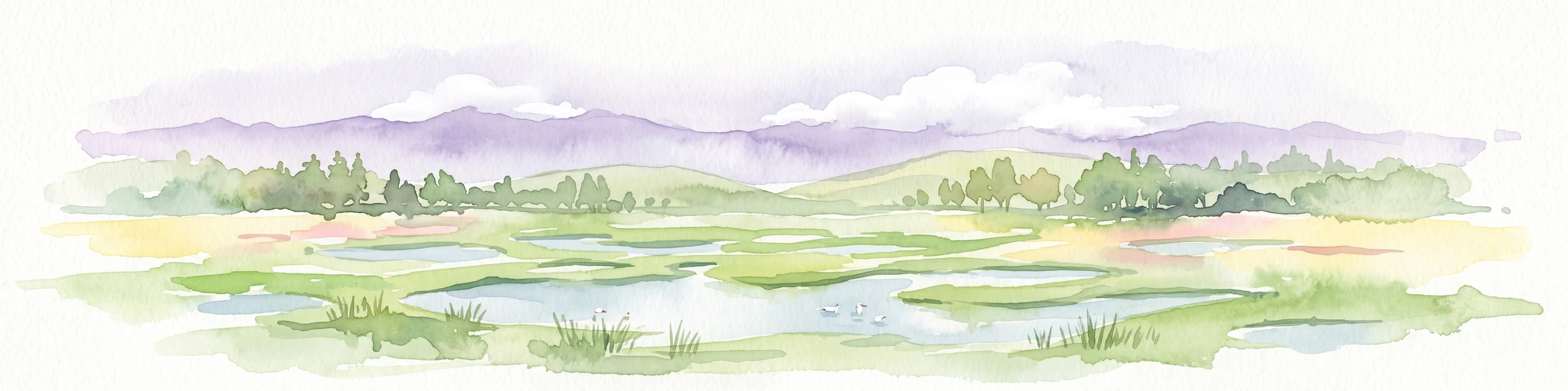 A watercolor painting showing a wide, marshy landscape with scattered pools of water, green vegetation, and distant soft purple hills under a pale sky.