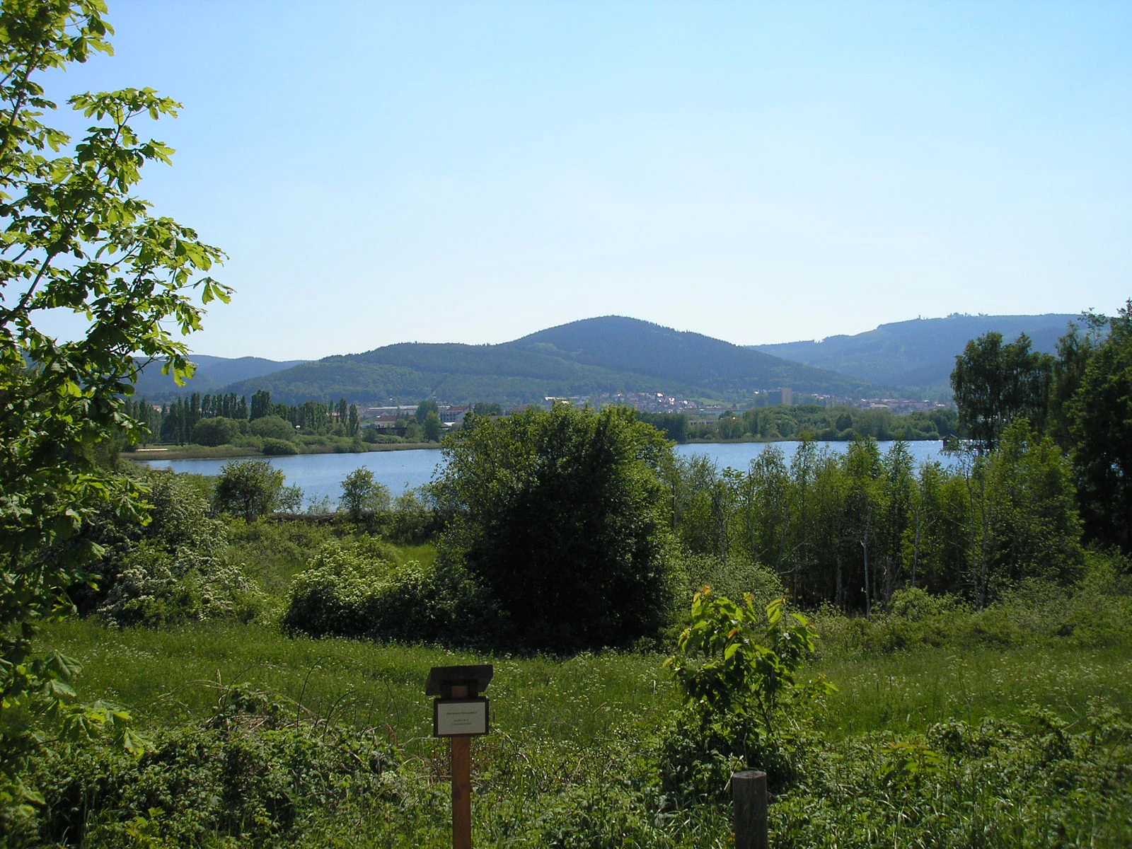 A peaceful lake set in a valley, surrounded by lush green trees and grasses, with rolling forested hills rising in the background under a clear sky.