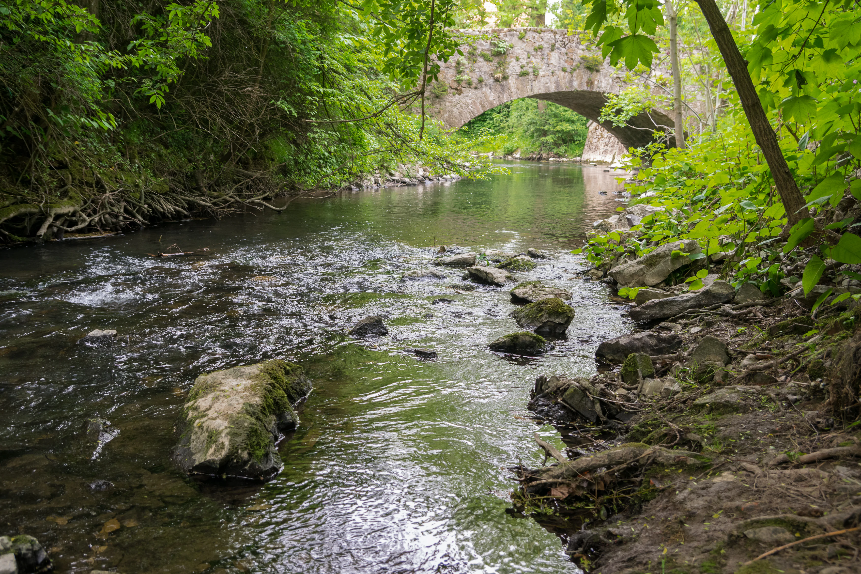 Ilse river in Lemgo