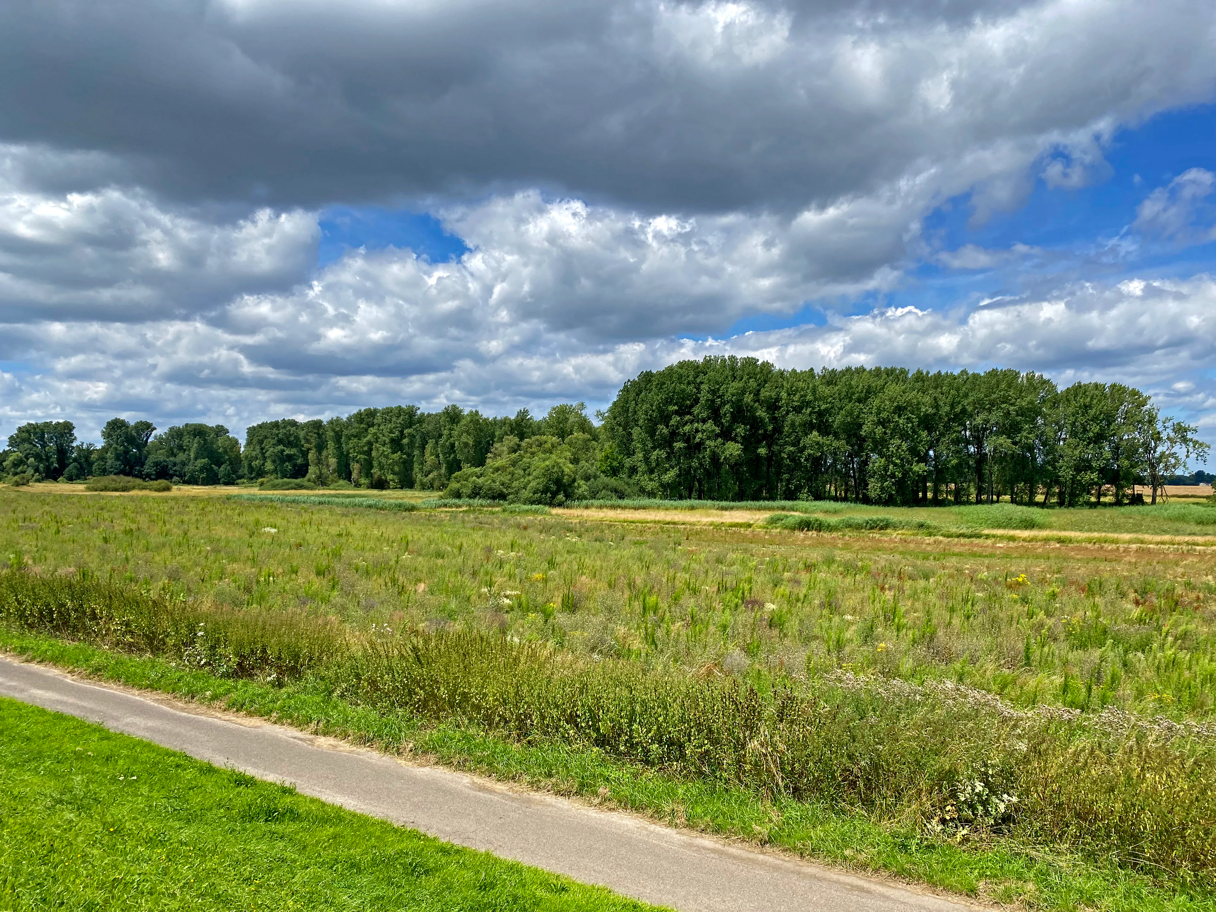 A wide view of a flat meadow and green treeline under a partly cloudy sky, with a paved path in the foreground.
